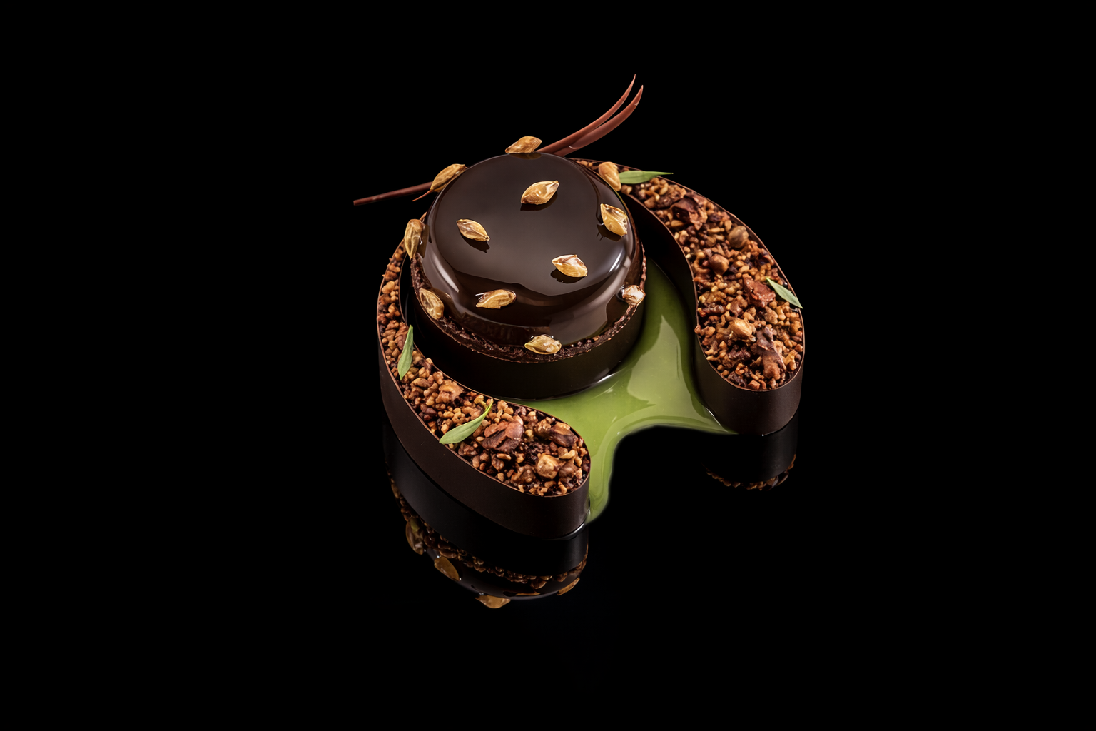 Gâteau au chocolat brillant avec décoration de graines et feuilles, présenté sur un fond noir