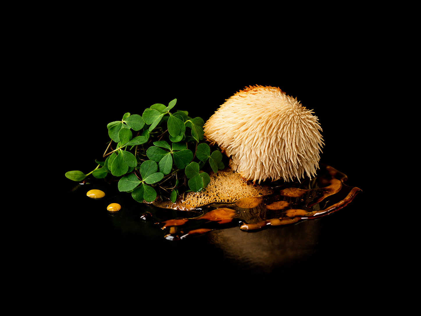 Champignon blanc, feuilles de trèfle vert, liquide brun foncé et mousse dans un arrangement culinaire sur fond noir.