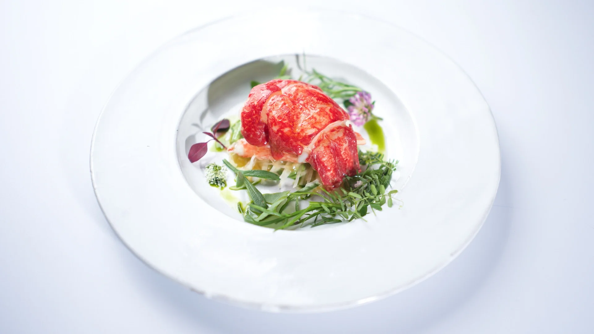 Une assiette blanche contenant un plat de homard accompagné de légumes et de fines herbes, avec un arrière-plan blanc et lumineux.