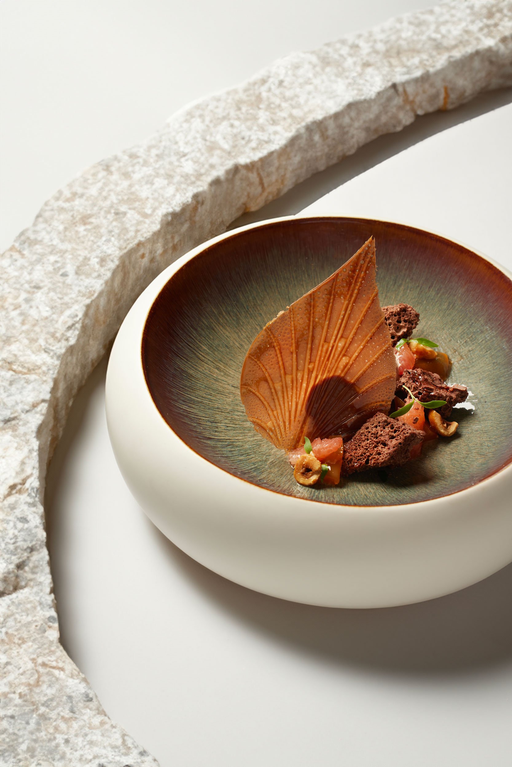 Dessert gourmet avec une feuille de chocolat en forme de fan, morceaux de chocolat, fruits et noix, présenté dans un bol décoratif.