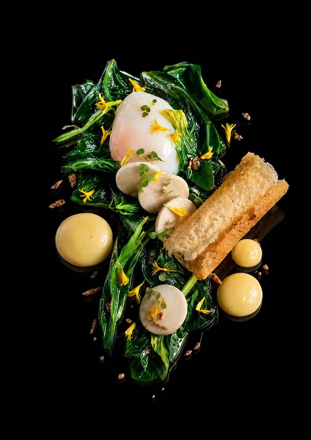 Oeuf mollet, feuilles vertes, champignons, billes de sauce blanche, tranches de pain croustillant, fleurs jaunes, graines, éclats de sel sur fond noir.