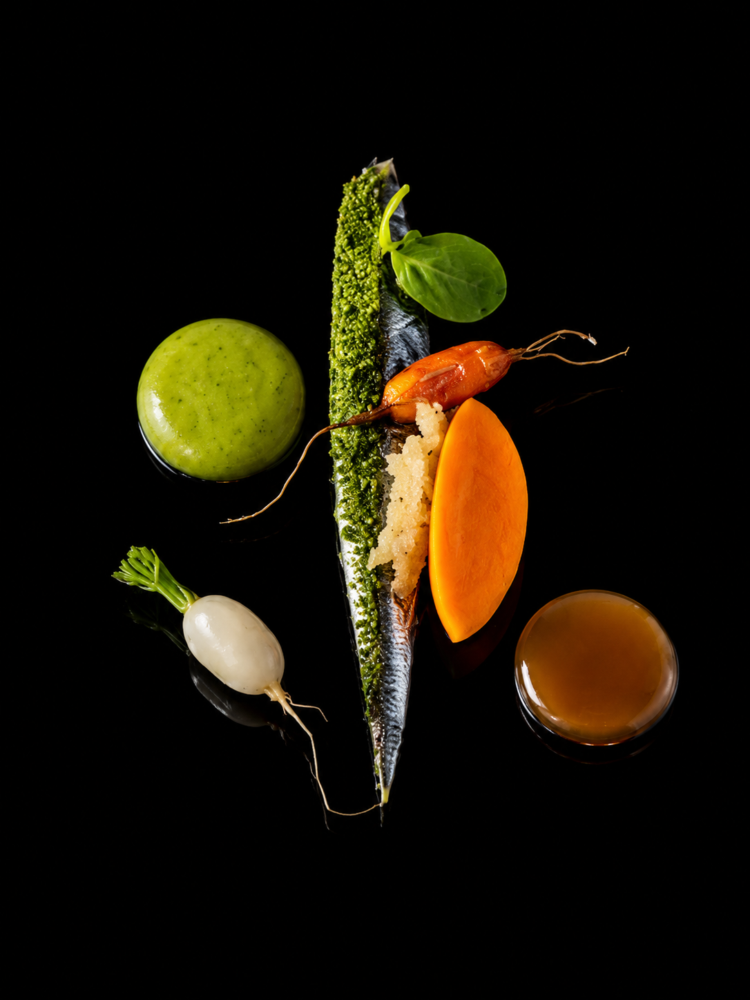 Assiette de nourriture artistique avec un poisson, un radis blanc, un concombre, une tomate, une carotte, un oignon vert, des feuilles vertes, une omelette et un verre de soupe, tous disposés sur un fond noir.