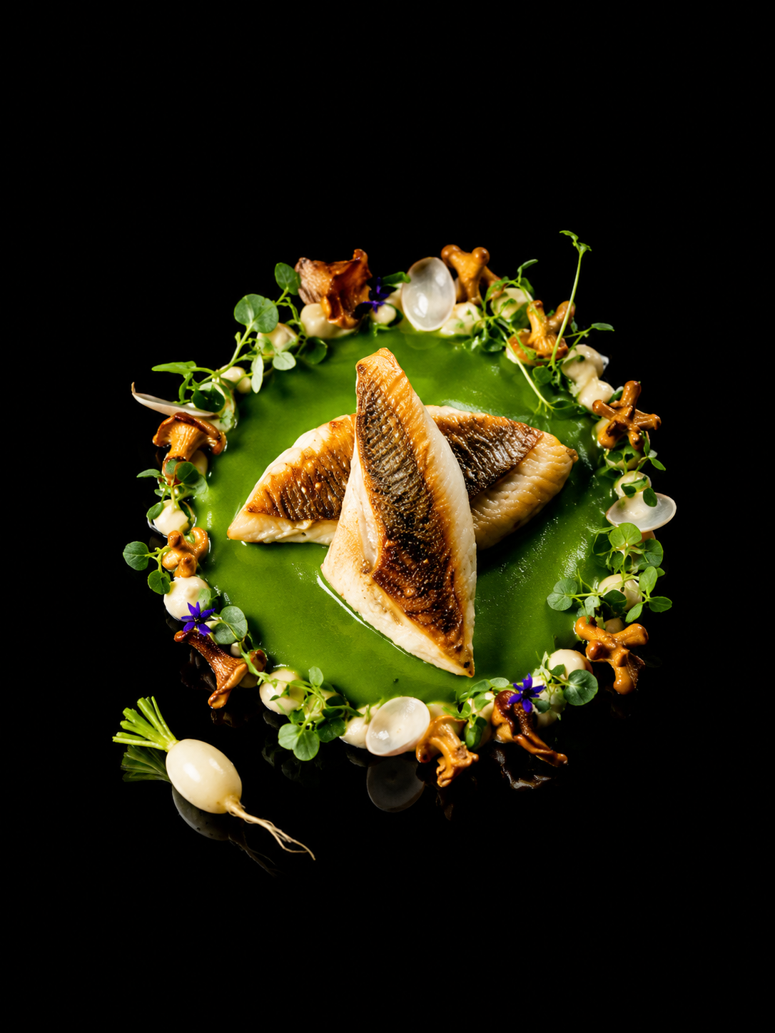 Assiette de poisson grillé sur un lit de purée verte, entourée de petits légumes, champignons et micro-pousses, présentée sur fond noir.