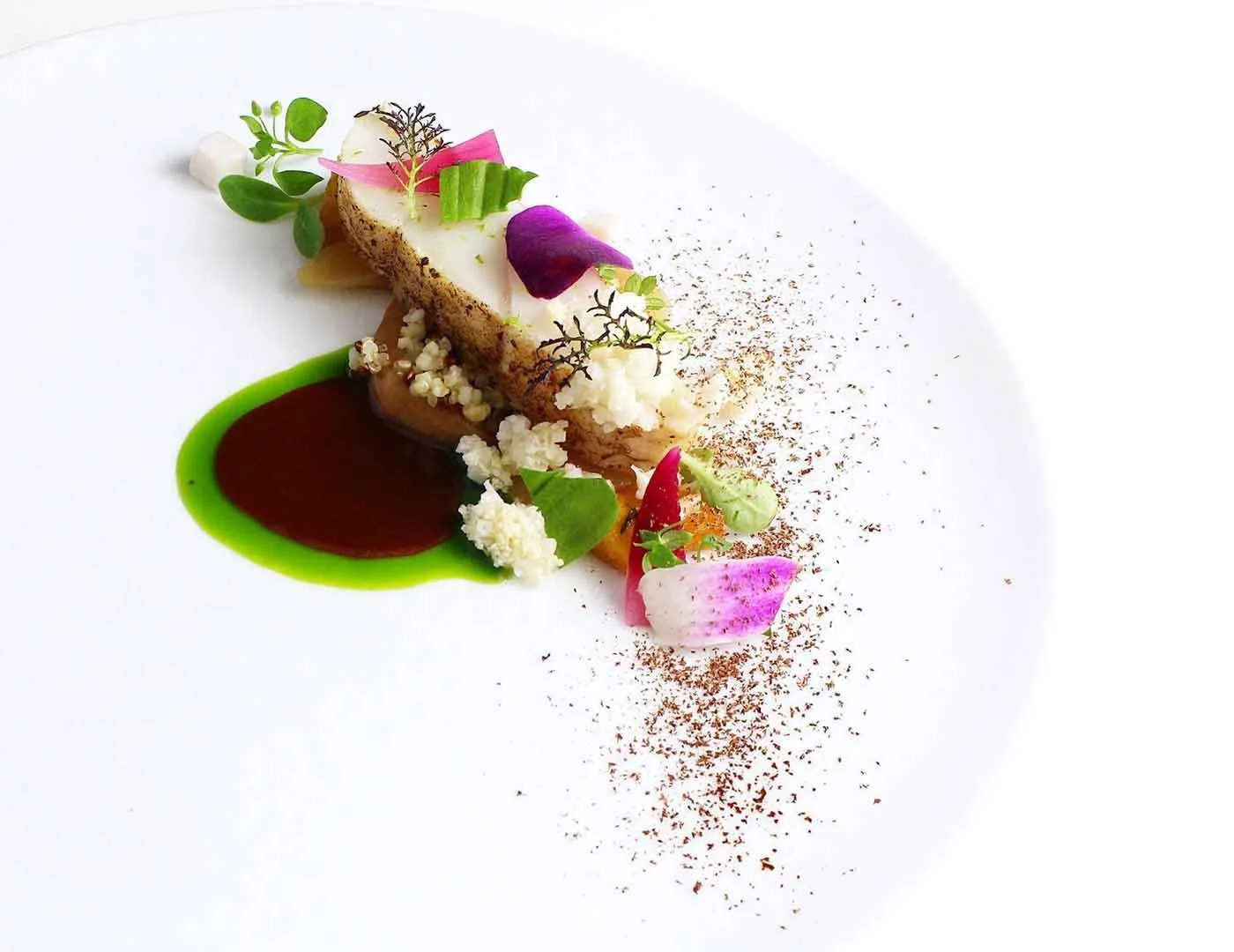 Assiette de gastronomie avec sauce vert foncé, viande ou poisson, et garnitures végétales colorées, présentée de manière artistique.