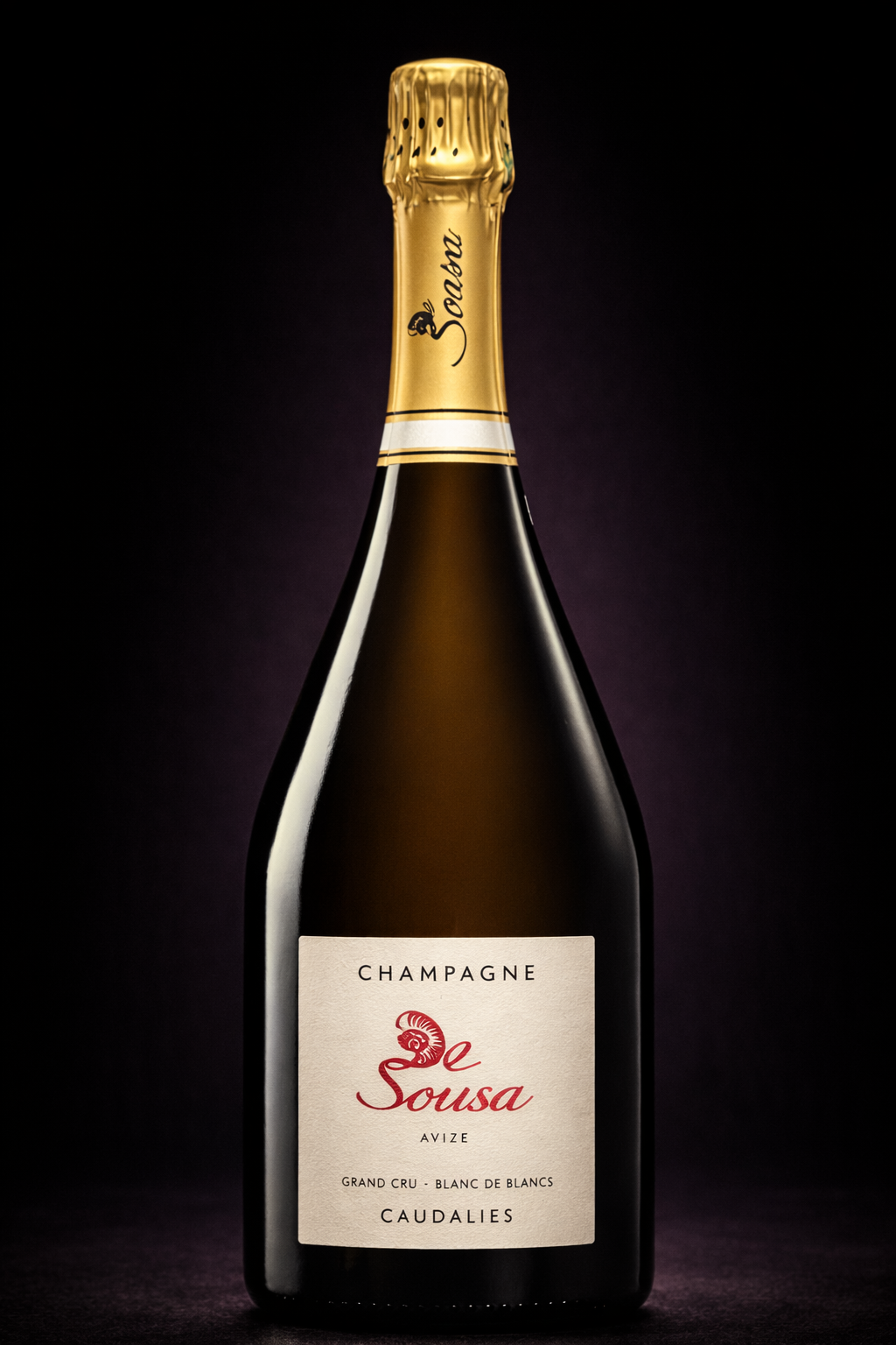 Bouteille de champagne noir avec étiquette blanche portant le nom 'Le Sousa', produite à Caudalie, avec un goulot doré. La bouteille est mise en valeur sur un fond noir.