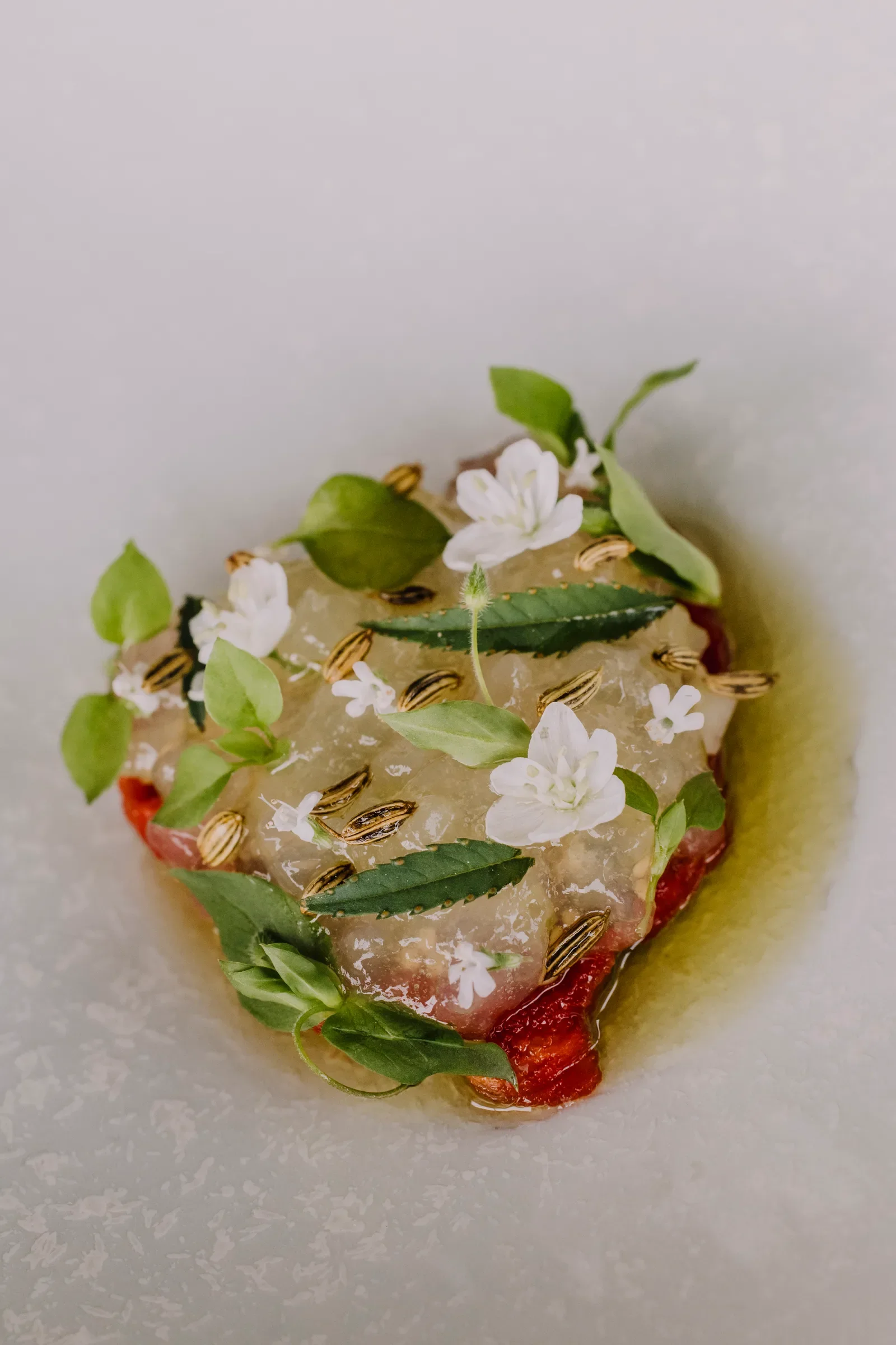 Un plat sophistiqué avec des herbes, fleurs blanches, graines et sauce, présenté de manière artistique.