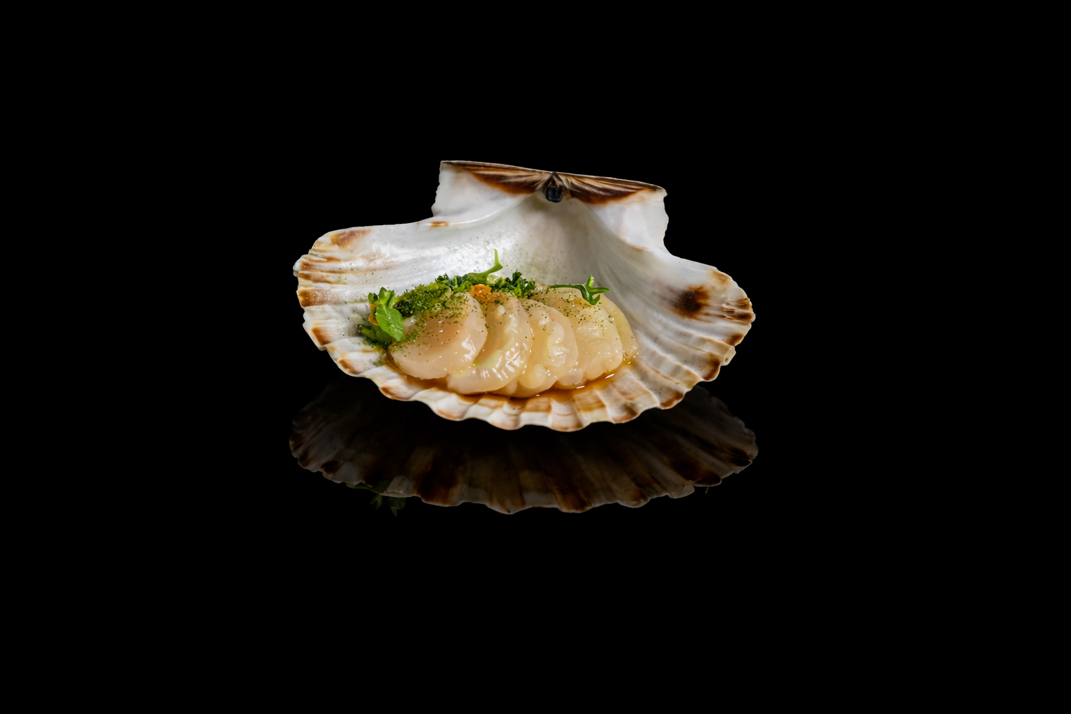 Coquillage ouvert avec des fruits de mer, garniture verte sur une surface noire