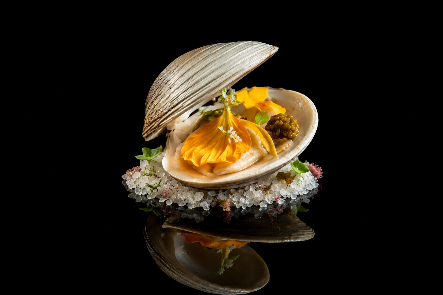Coquillage avec une préparation gastronomique, fleurs, caviar et herbes, sur un lit de sel avec un fond noir.