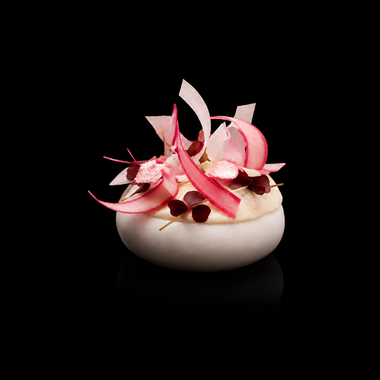Une présentation élégante de nourriture avec des éléments roses et blancs sur une assiette blanche, contre un fond noir.