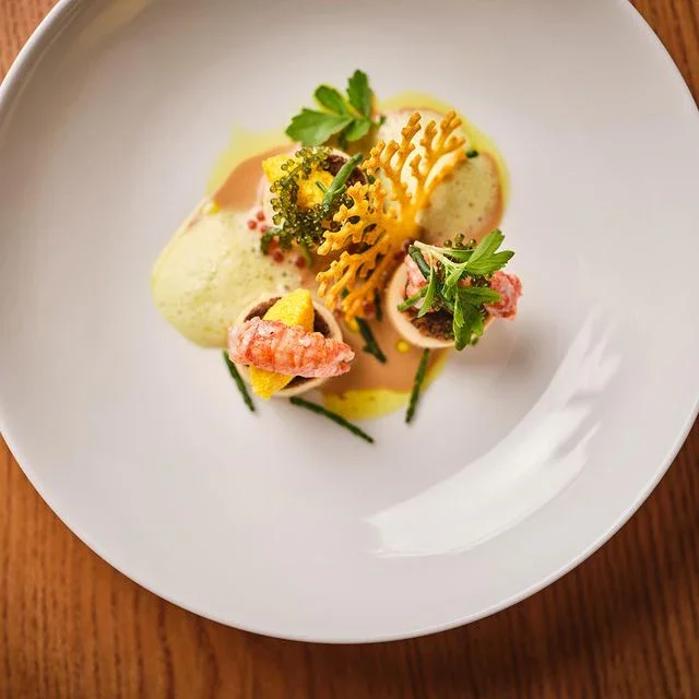 Assiette de présentation avec amuse-bouche gastronomique, incluant des éléments de mousse, des garnitures vertes et des décorations croustillantes.