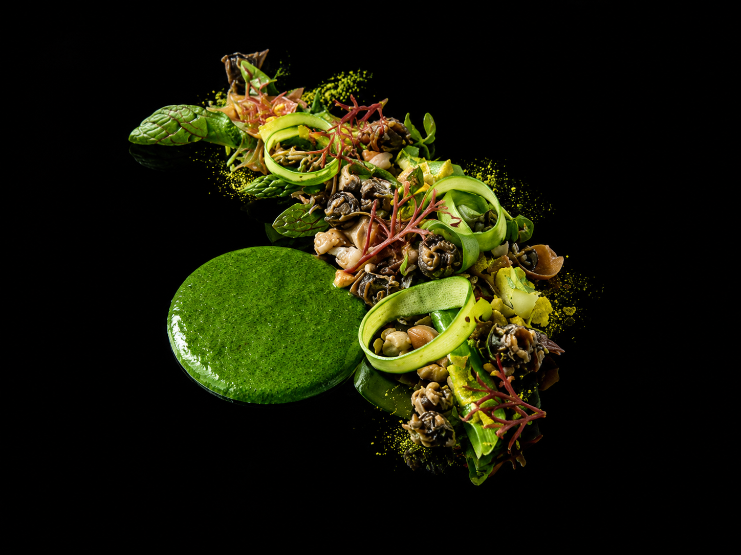 Une assiette de tacos végétariens garnis de légumes frais et herbes sur un fond noir.