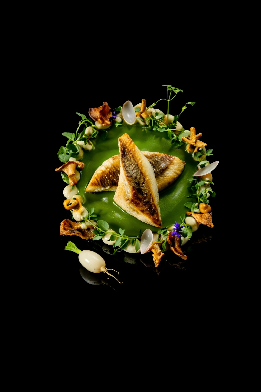 Assiette de poisson grillé avec décoration de microgreens, champignons, fleurs comestibles, et sauce vert vif, présentée sur un fond noir.