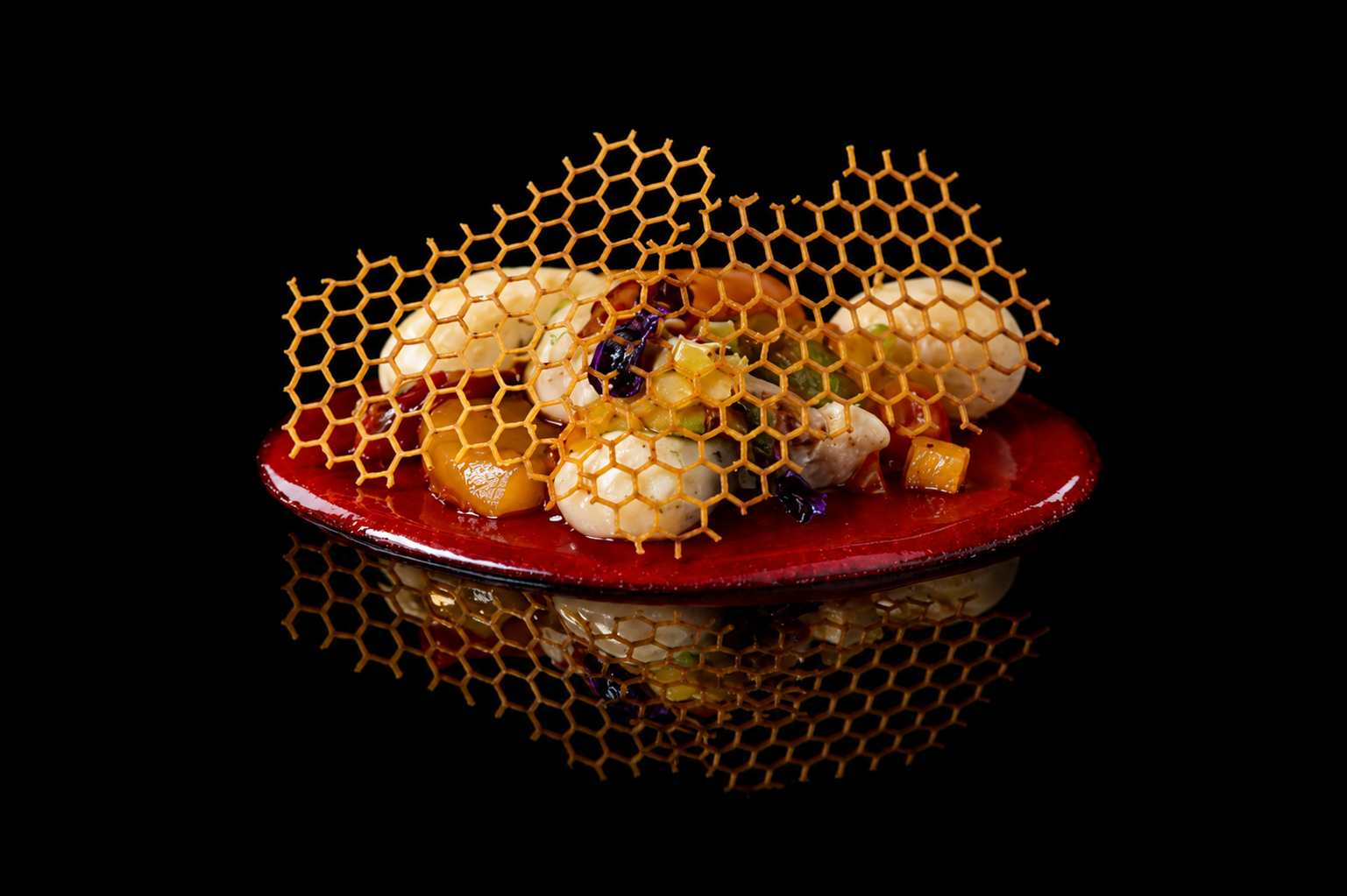 Plat de nourriture présenté avec un motif de miel en forme de grille sur le dessus, comprenant des morceaux de légumes et autres ingrédients, sur une assiette rouge, contre un fond noir.