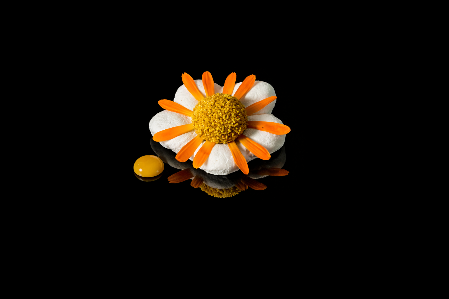 Une composition artistique représentant une fleur de marguerite faite de crème blanche, avec un centre jaune en poudre et des pétales oranges, accompagnée d'une grosse goutte jaune à côté, sur un fond noir.
