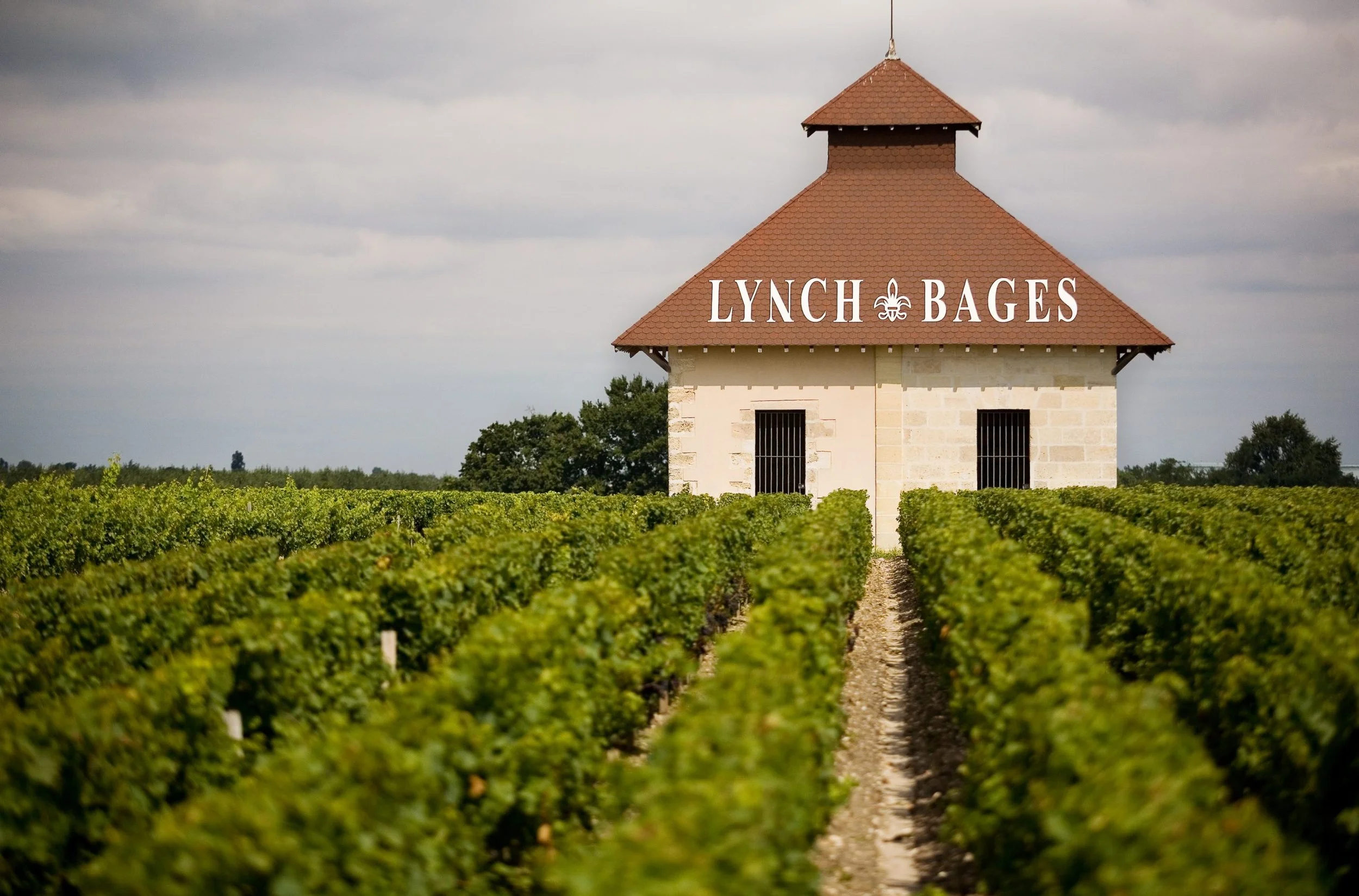 Vignoble avec un bâtiment au centre portant la signalisation "Lynch Bages" et un ciel nuageux en arrière-plan.