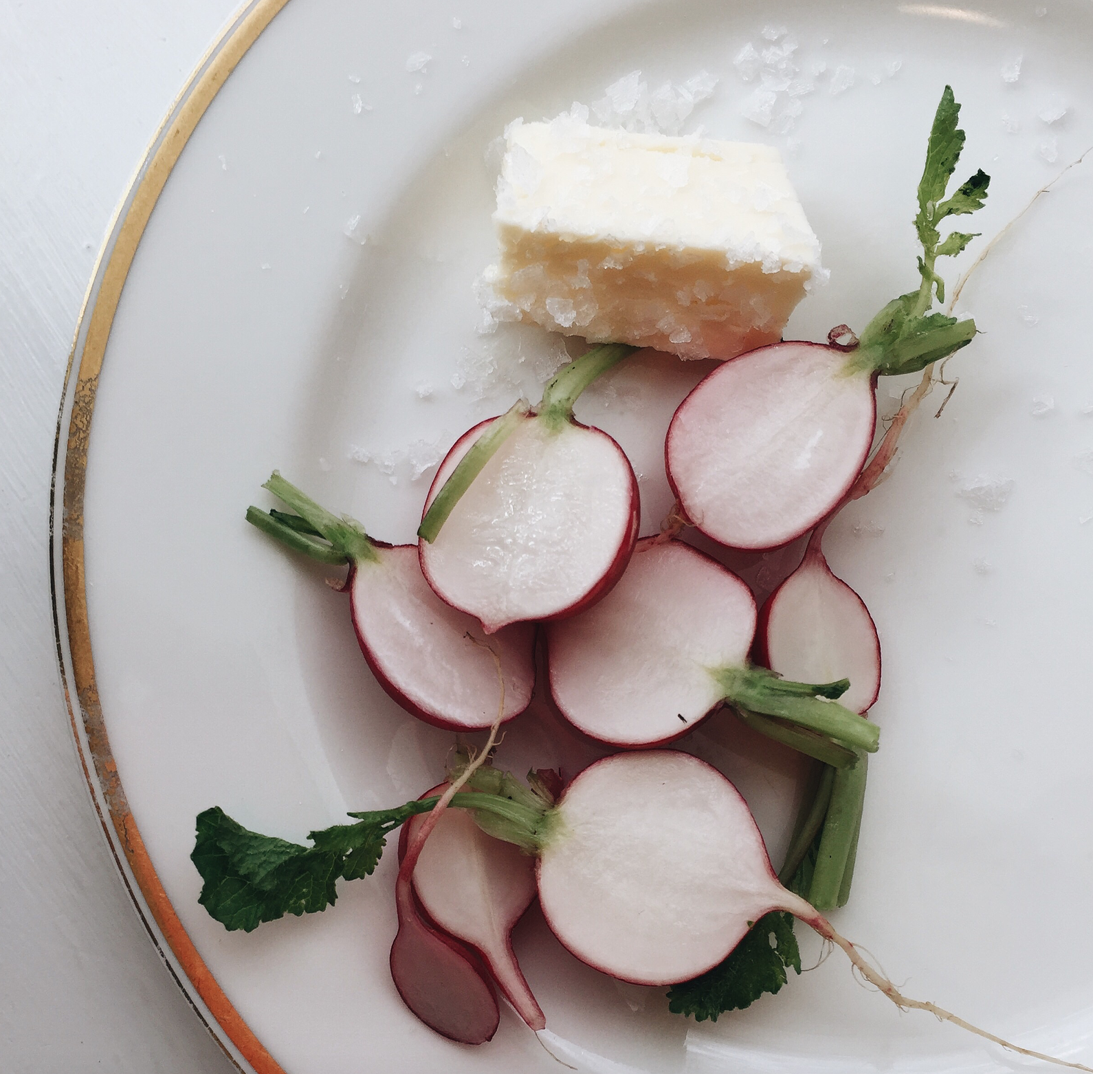 Screen Shot 2017-02-15 at 11.13.00 PM.png