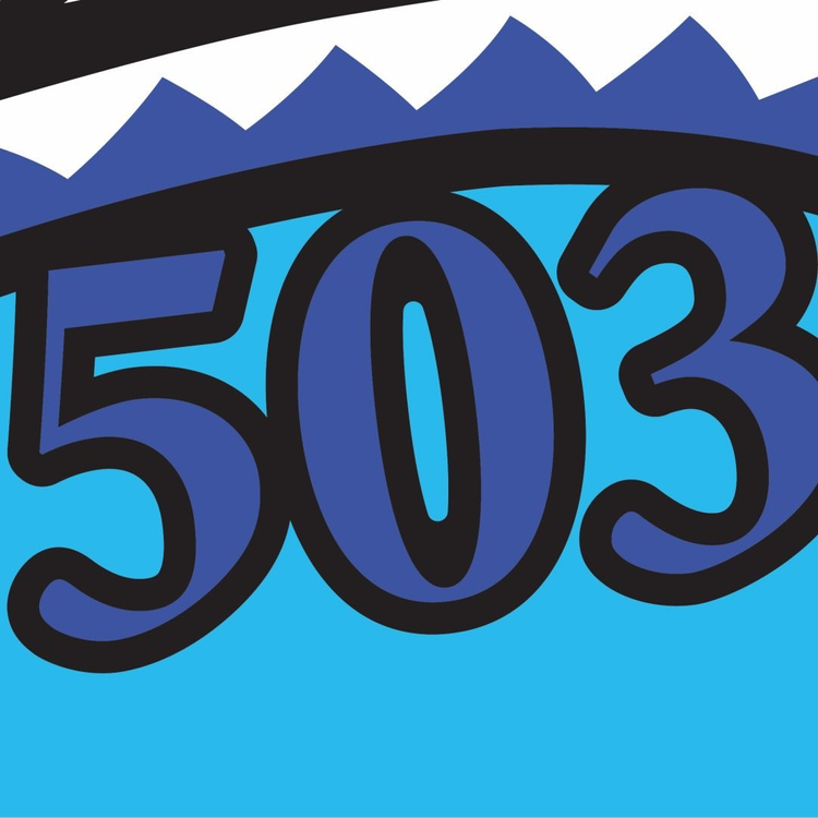 PUPUSERIA 503