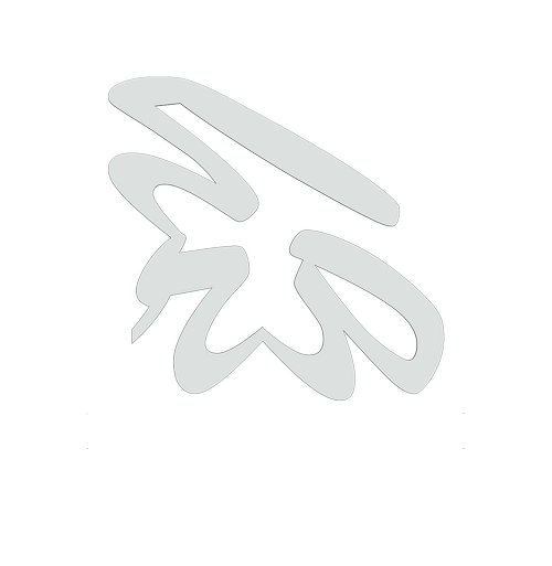 Reema Hammad