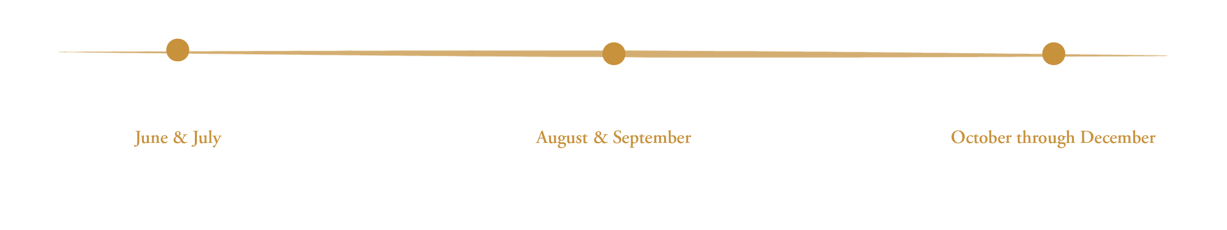 The Passage developmental arc — a seven-month journey through Awaken, Integrate, and Remember stages