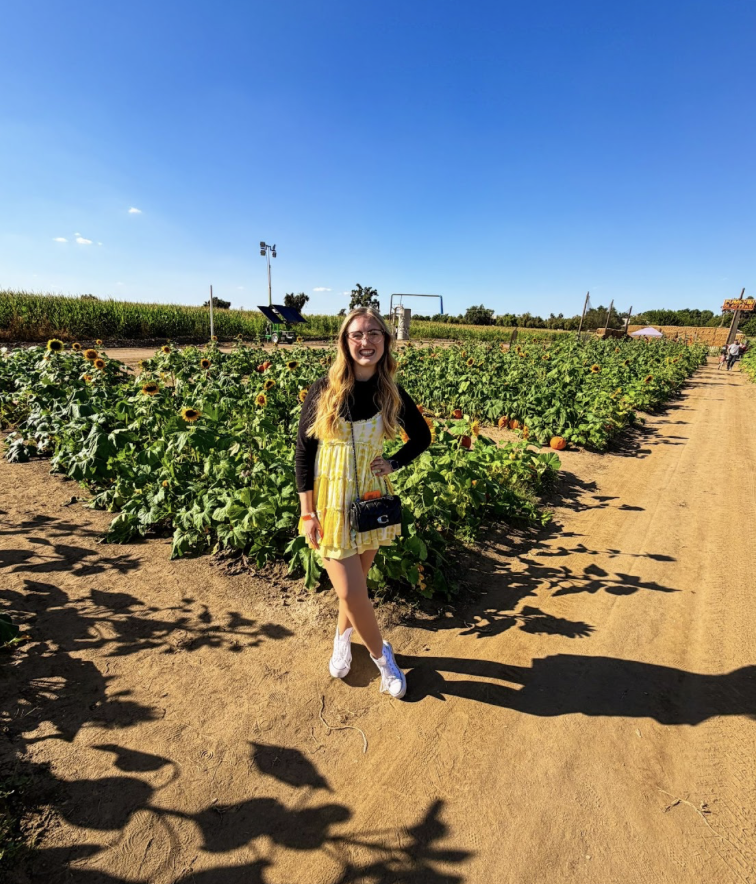 Mia Skeels
Liberation Guide