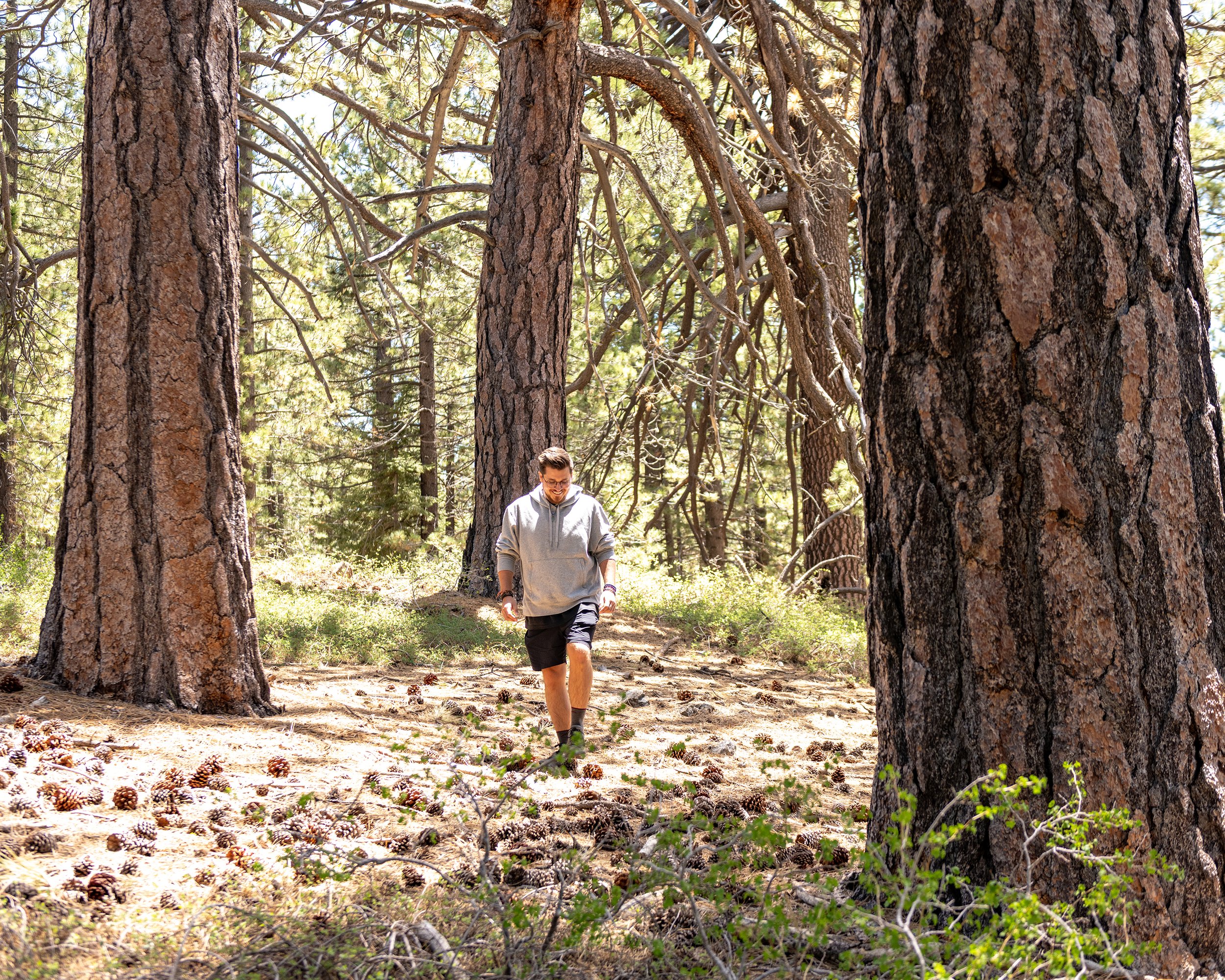 Drew Wiggins walking in a pine forest — founder of Wayfinding Collective and somatic practitioner