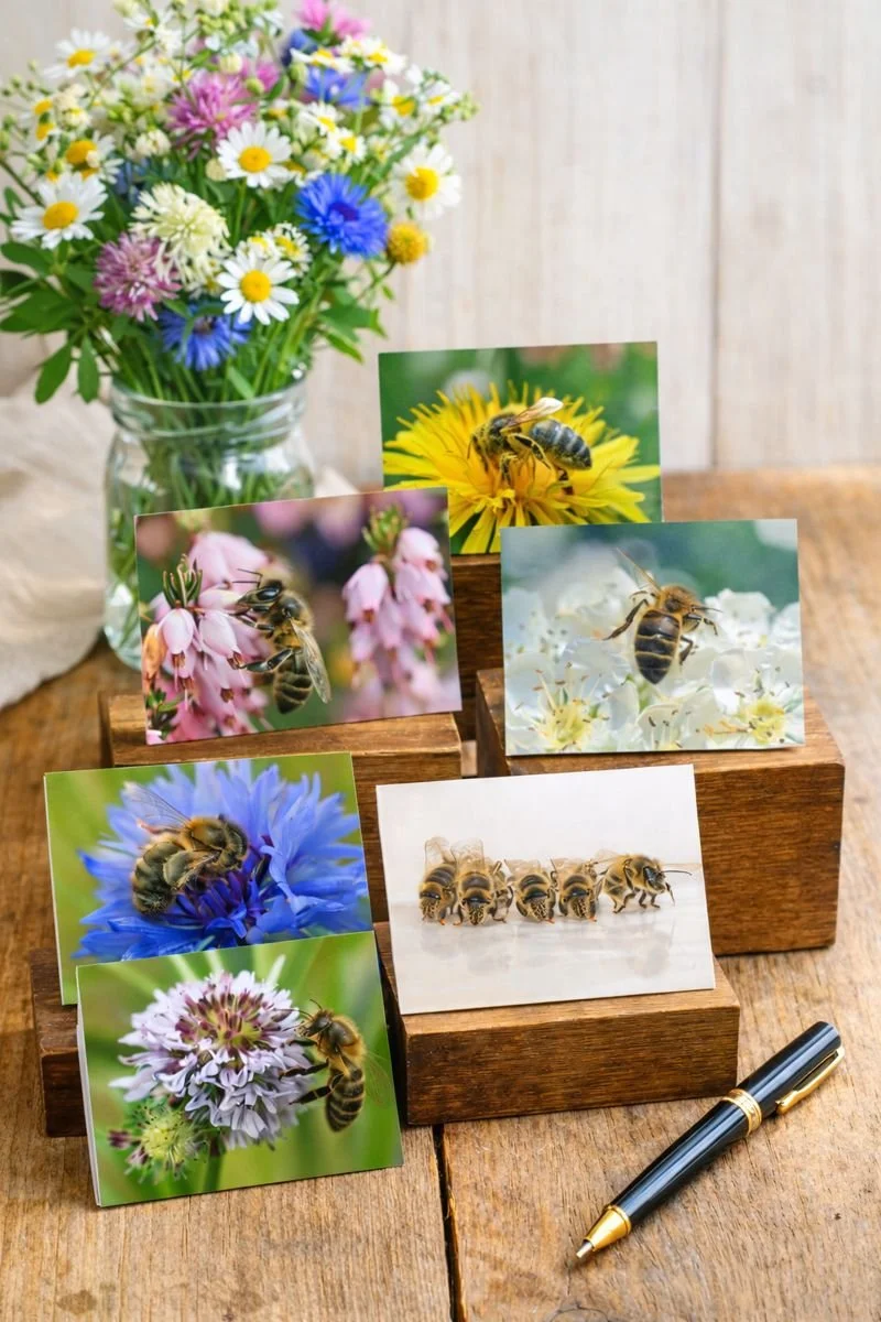 Greeting Cards featuring Ireland's Native Honey Bee - Pack of 6
