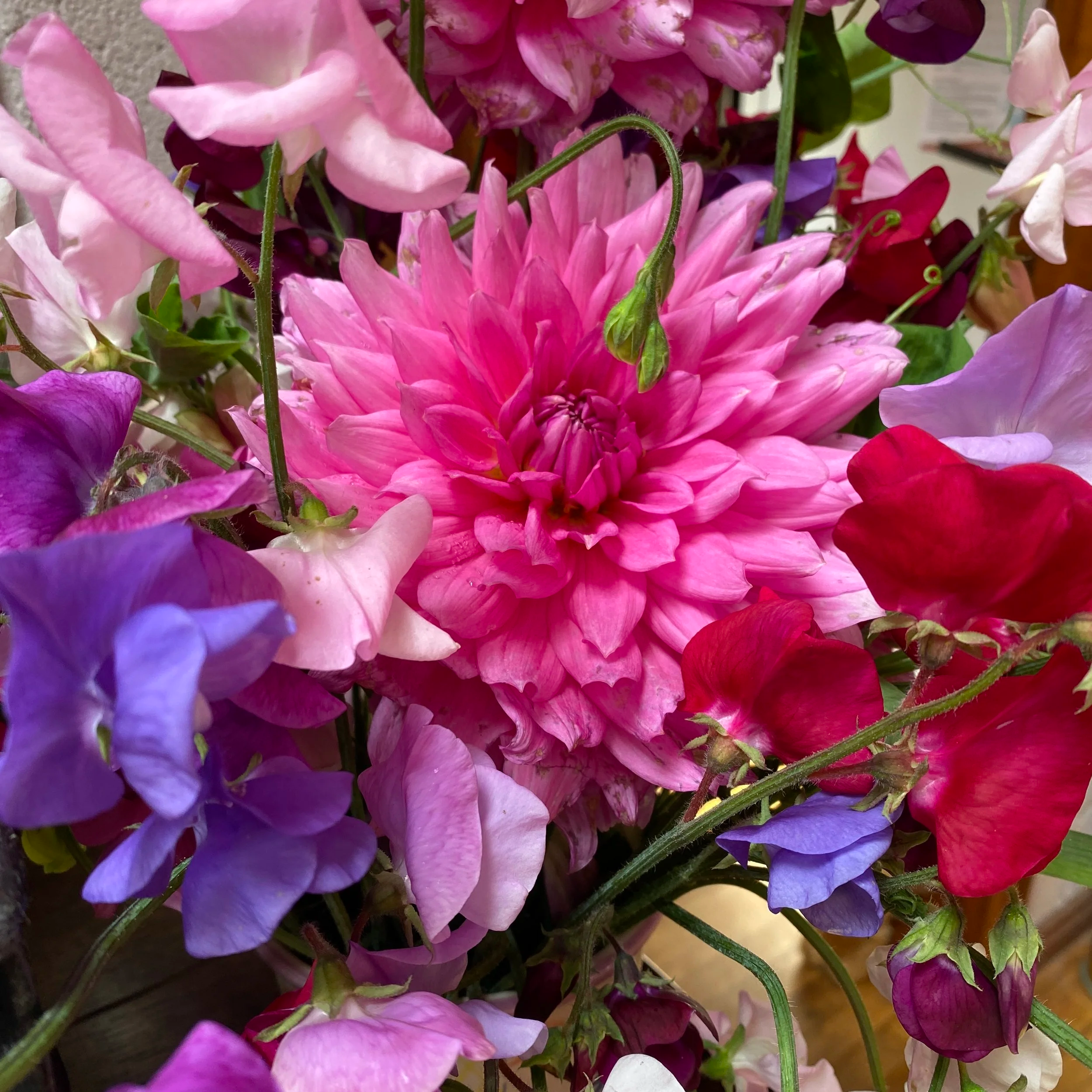 A vibrant bouquet of flowers featuring a large pink dahlia surrounded by purple, pink, white, and red sweet pea flowers.
