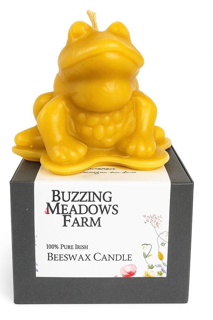 A Frog sitting on a Lily Pad