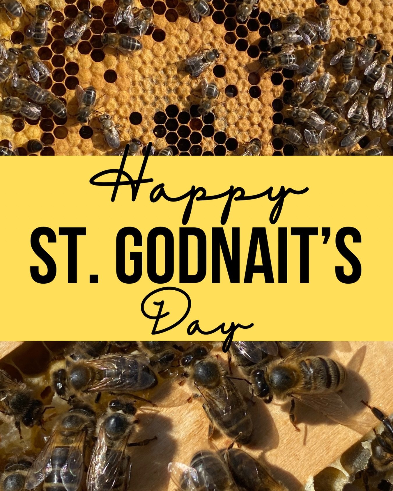 Today we&rsquo;re marking St Gobnait&rsquo;s Day, honouring St Gobnait, the gentle protector of bees, beekeepers, and the quiet work of the land.

St Gobnait is deeply rooted in Irish tradition &mdash; a reminder that bees were always valued, watched