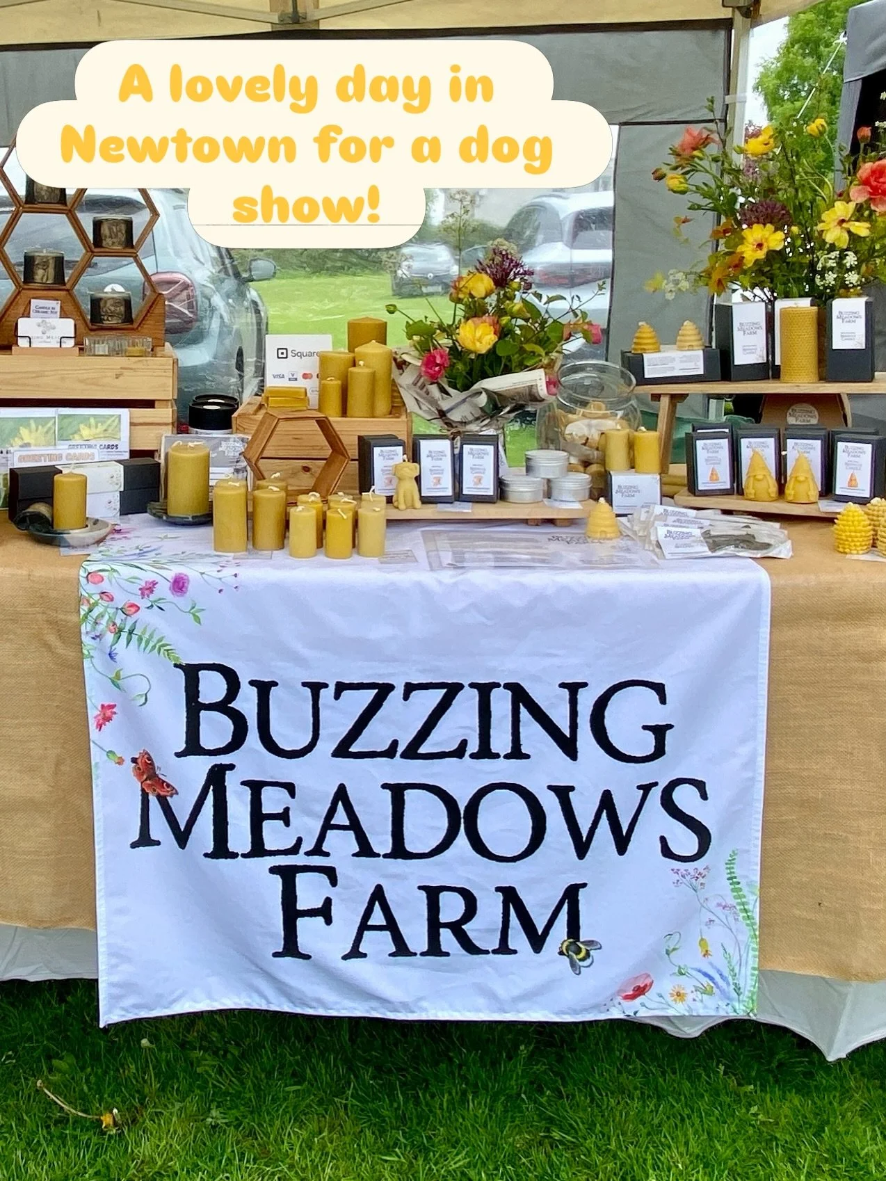 We are in Barry&rsquo;s Field in Newtown, Tipperary for the @newtowndogshowfamilyfunday today. 

#dogshow 
#buzzingmeadowsfarm 
#newtowntipperary
@