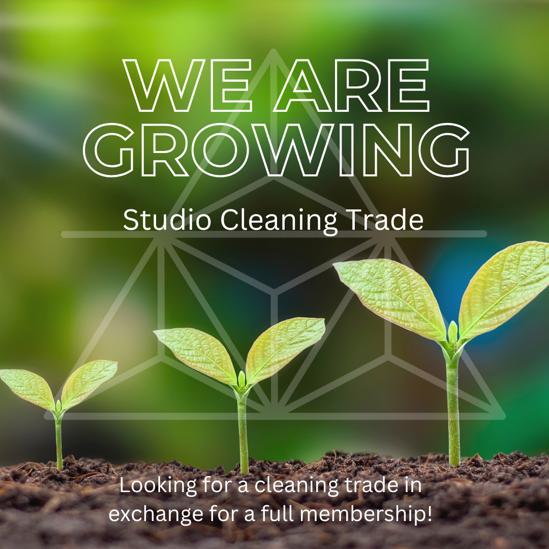 Copy of PLEASE TAKE OUR SURVEY (liNK BELOW).png