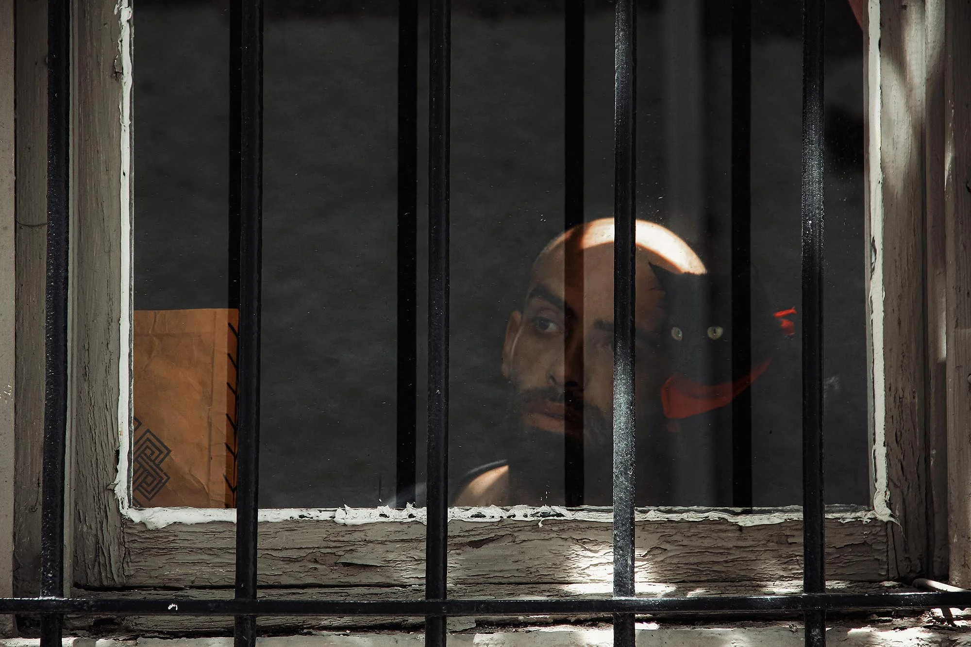 Hussein Haddad Photography Refugee Syria Cats