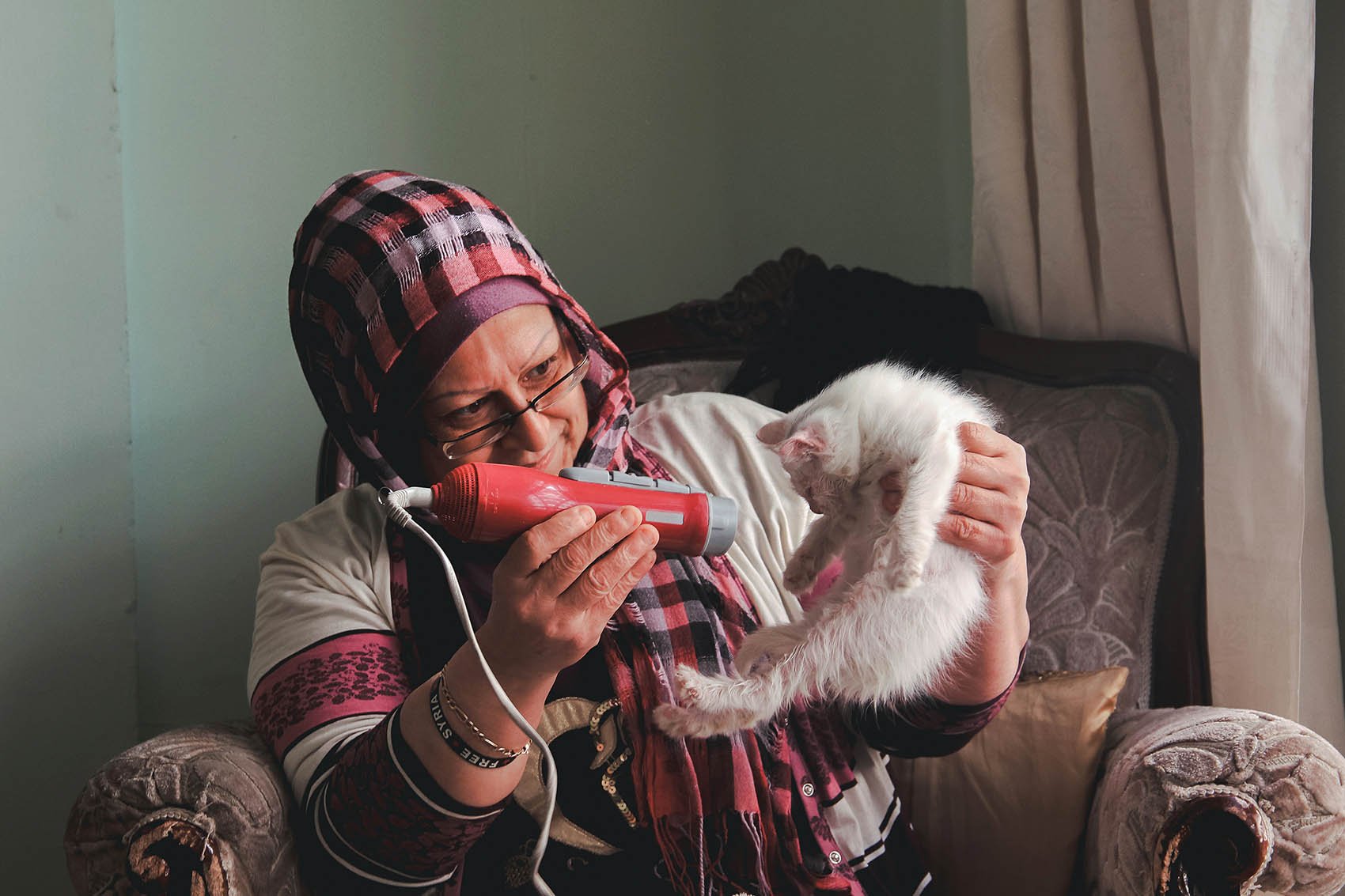 Hussein Haddad Photography Syria cats