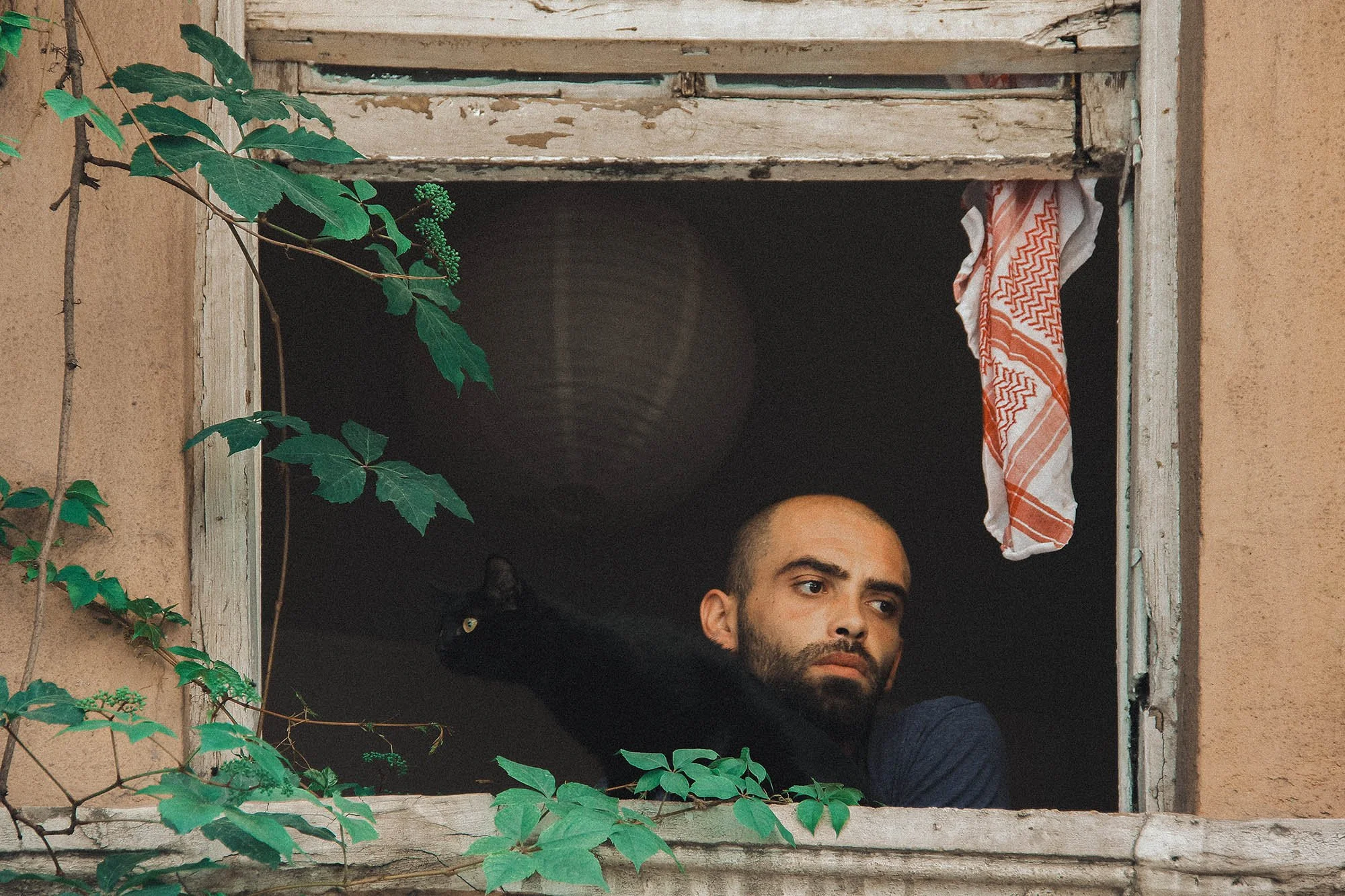 Hussein Haddad Photography Refugee Syria Cats