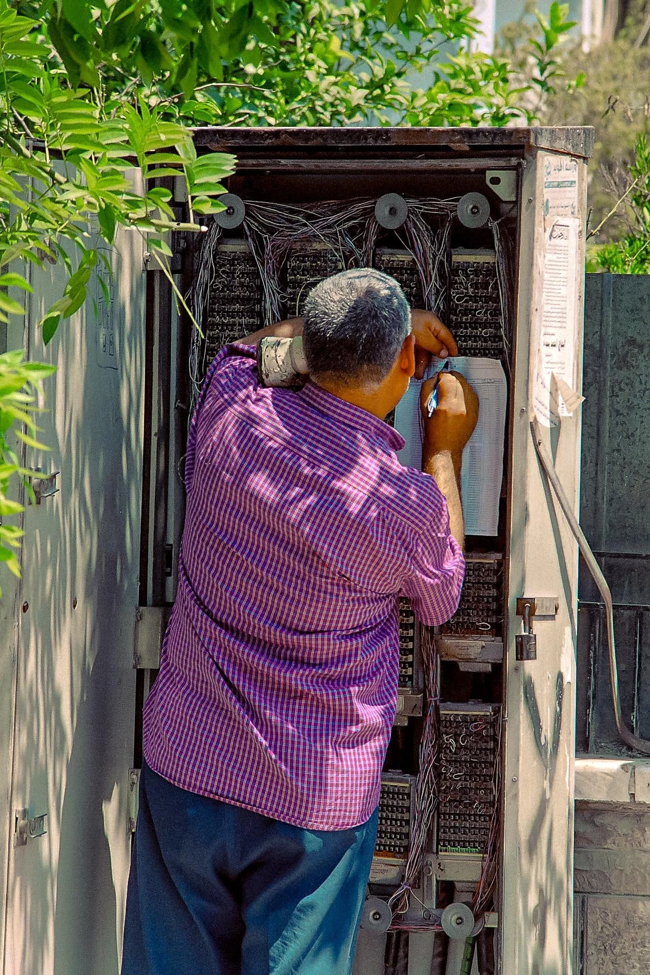 A man in a pink checkered shirt and blue pants working on an outdoor electrical panel, surrounded by green foliage.