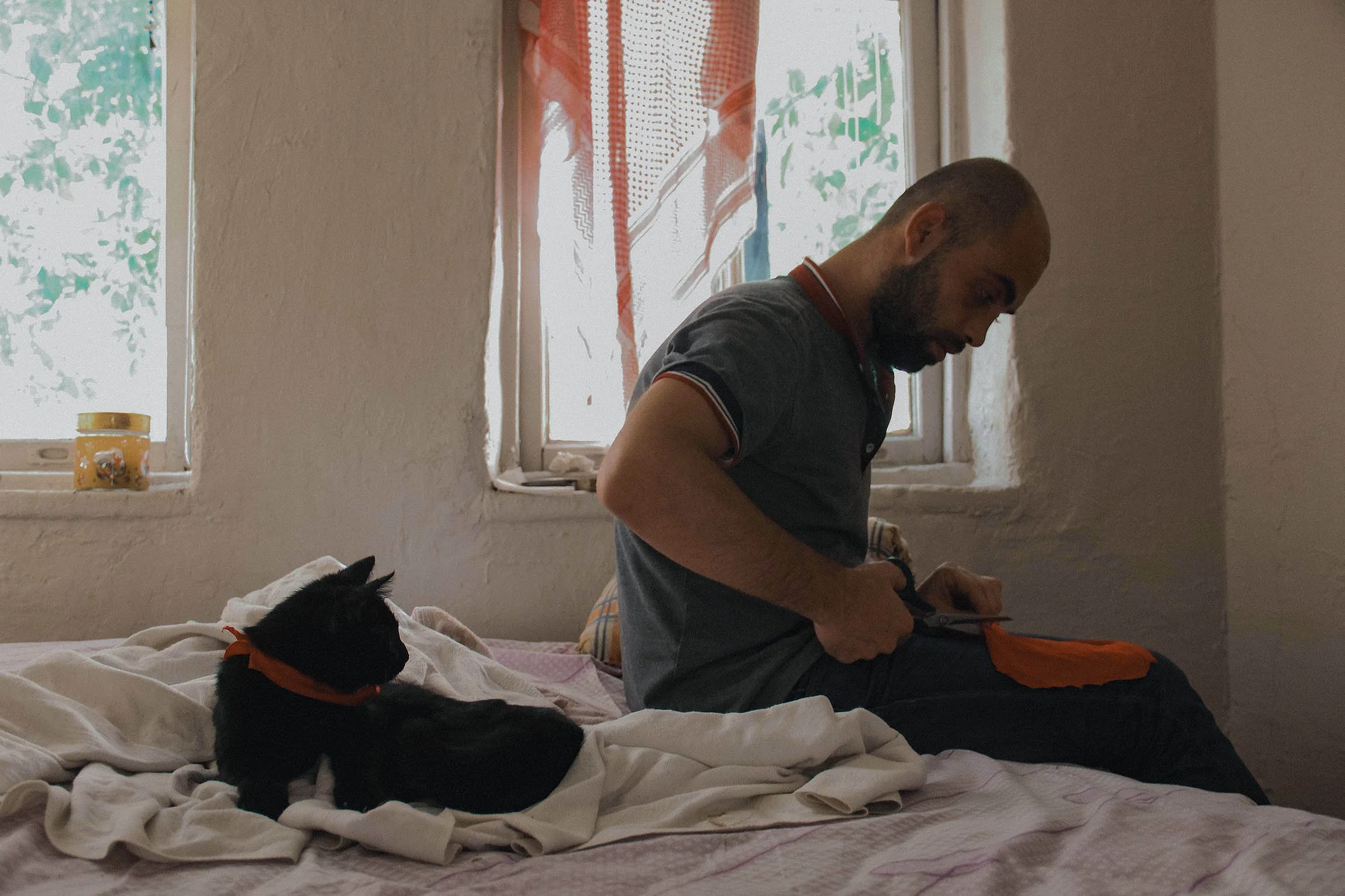 Hussein Haddad Photography Refugee Syria Cats