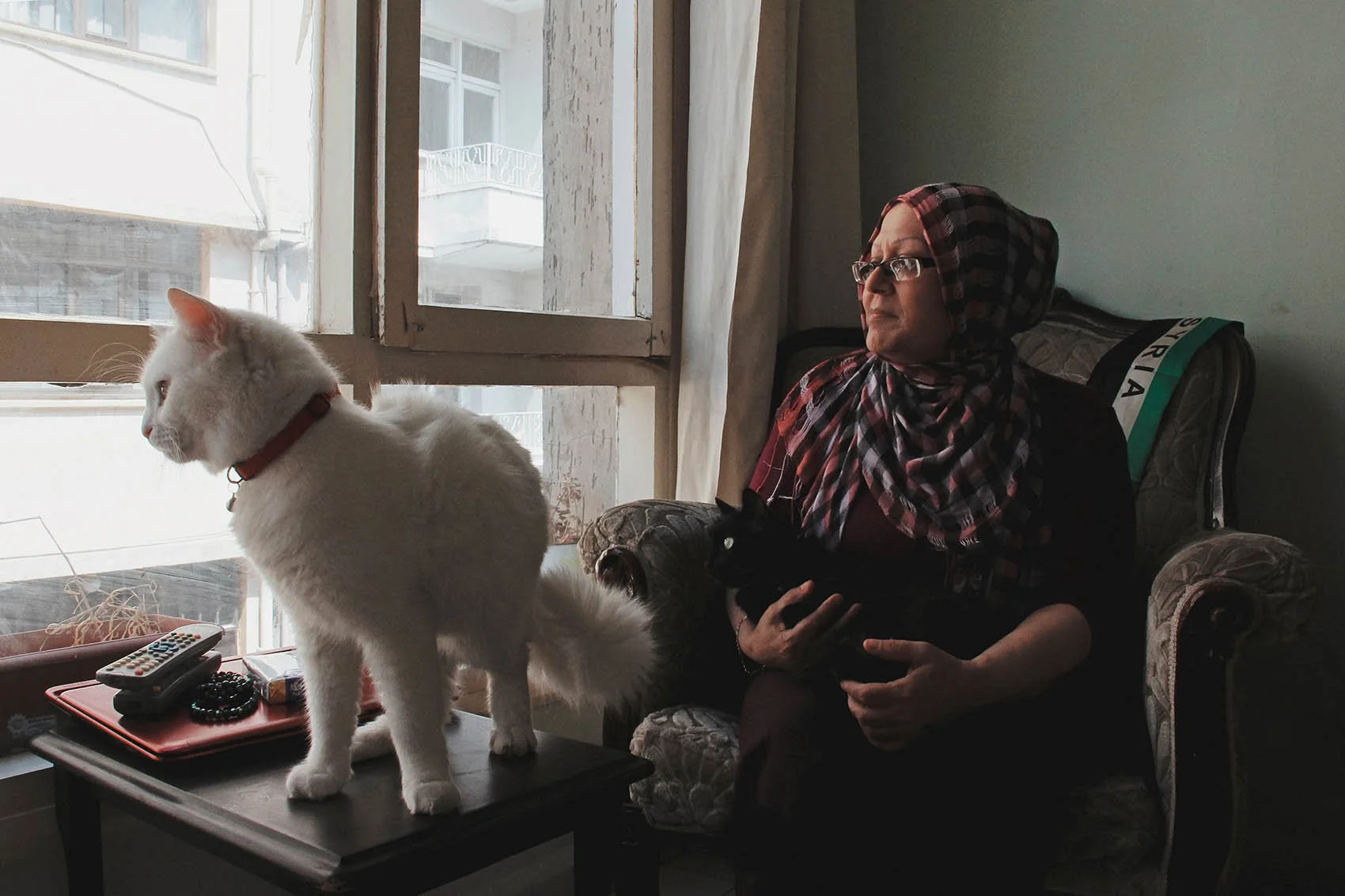 Hussein Haddad Refugee Cats Syria-Turkey