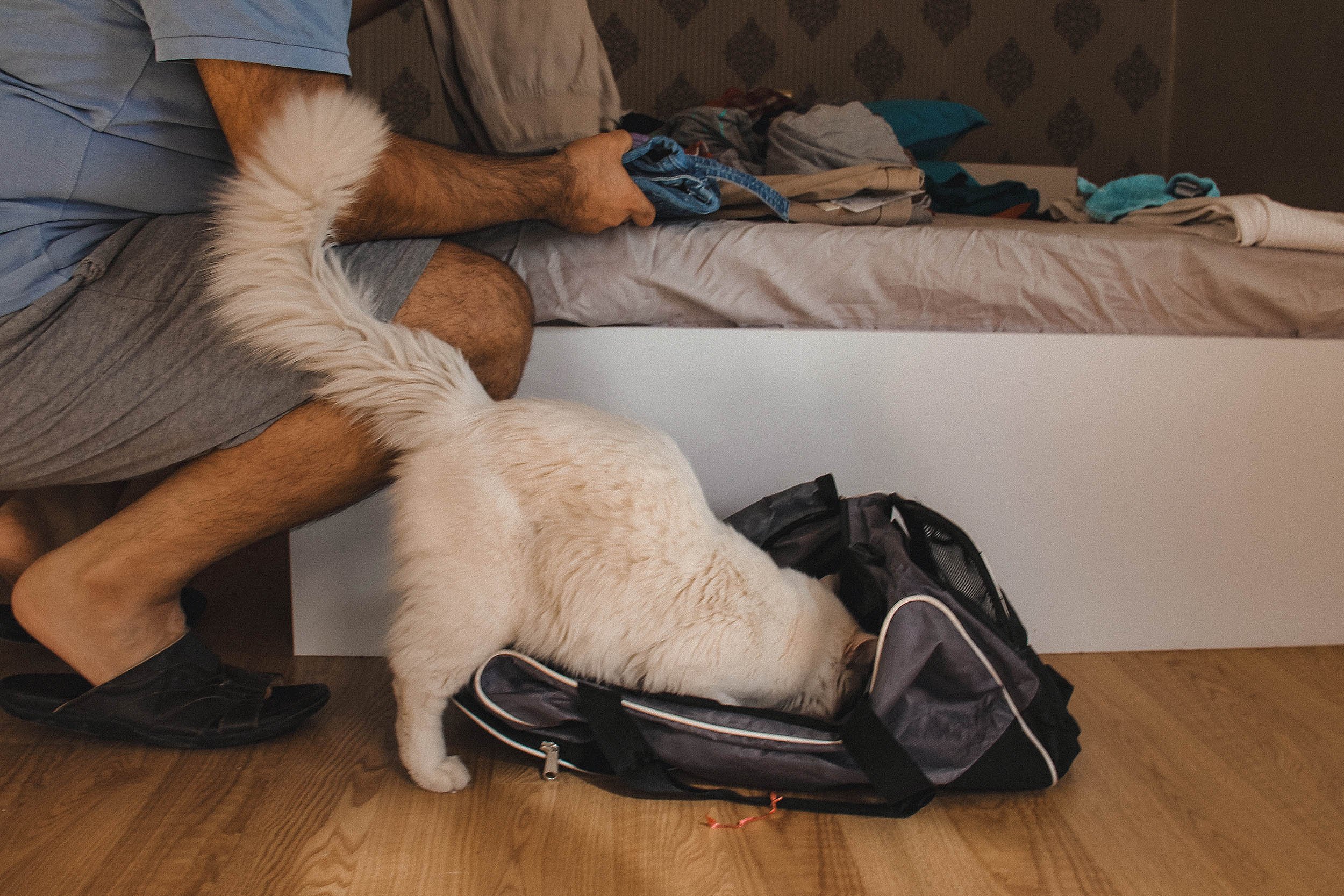 Hussein Haddad photography- Refugee cats -Storytelling