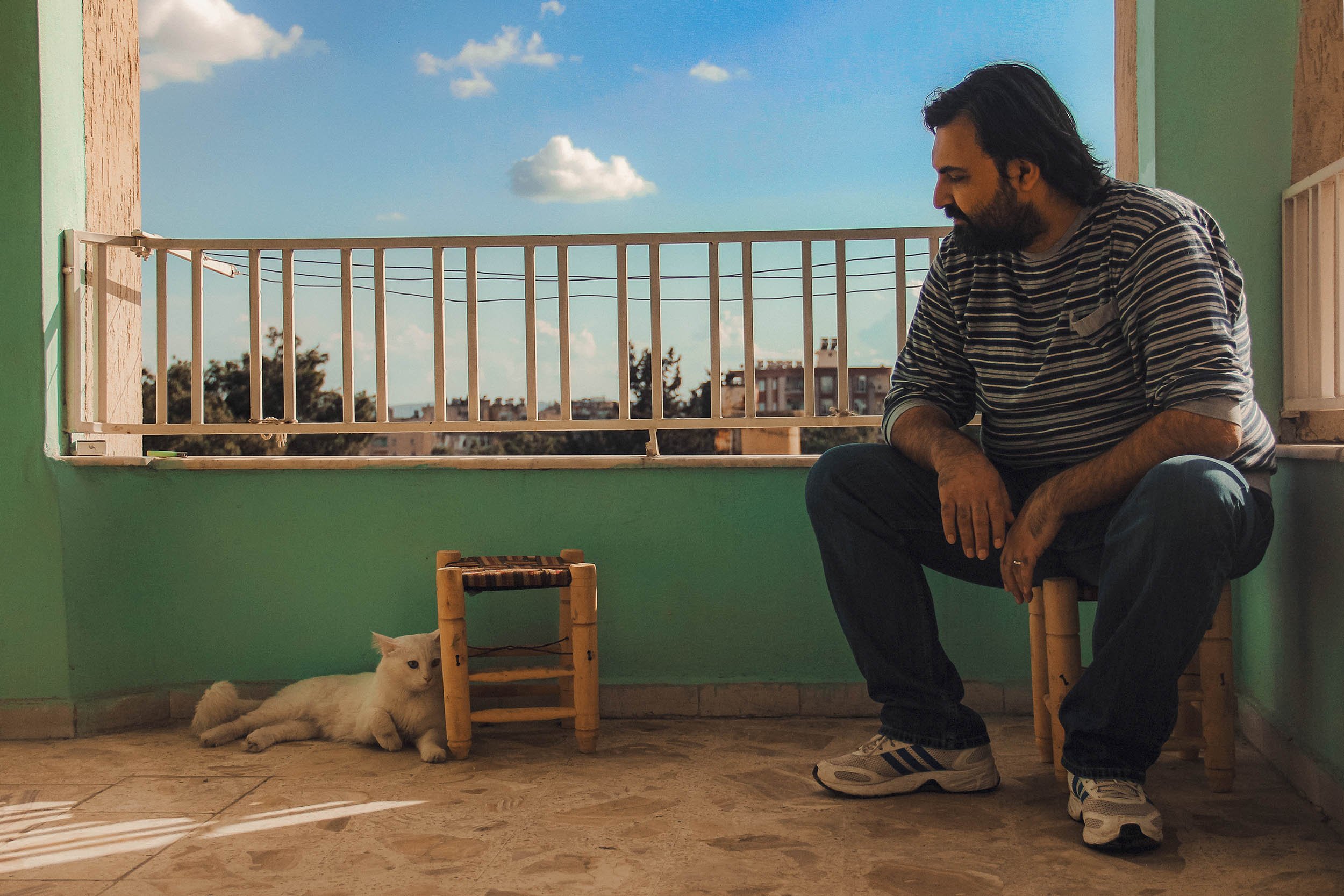 Hussein Haddad photography- Refugee cats -Storytelling