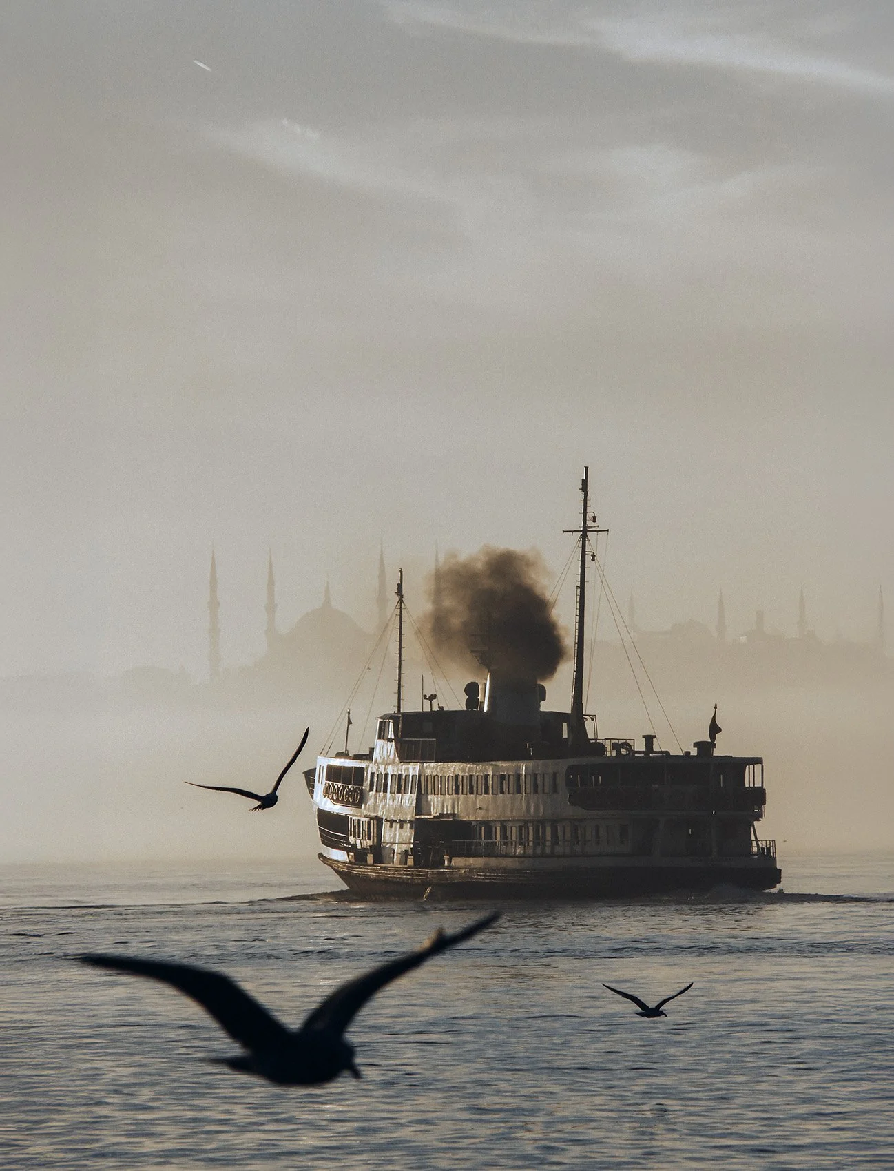 Code: 1665-Istanbul