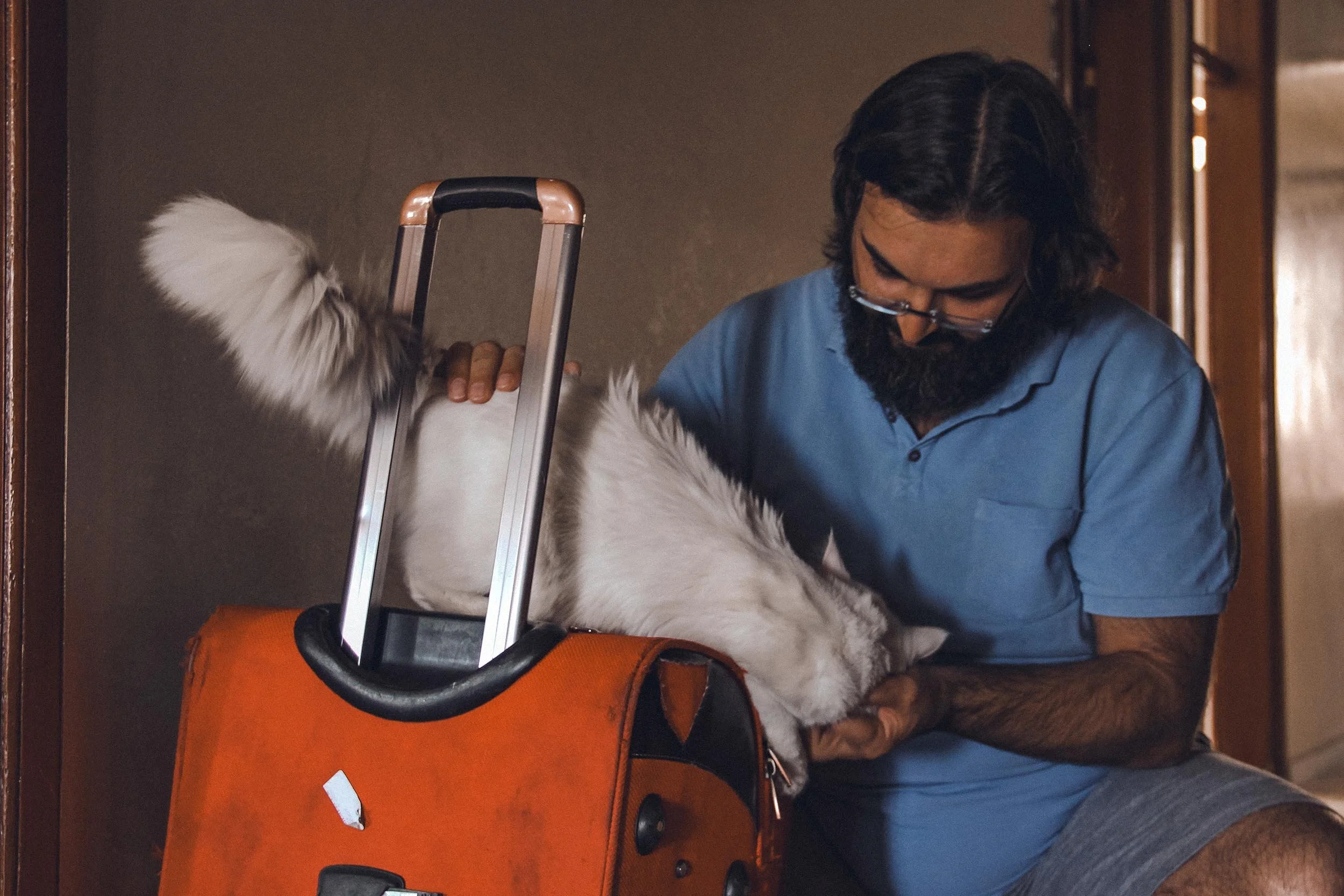 Hussein Haddad photography- Refugee cats -Storytelling