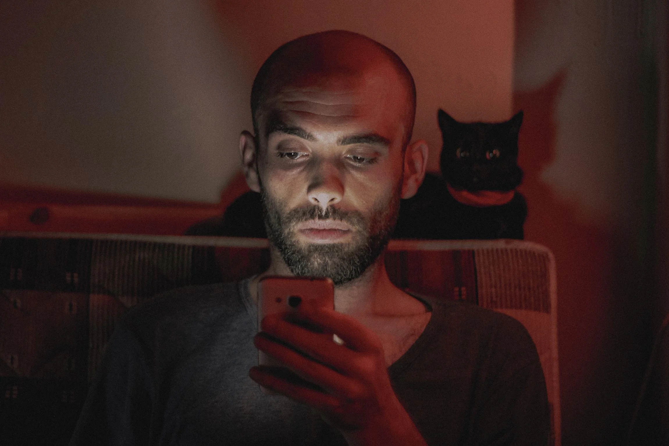 Hussein Haddad Photography Refugee Syria Cats