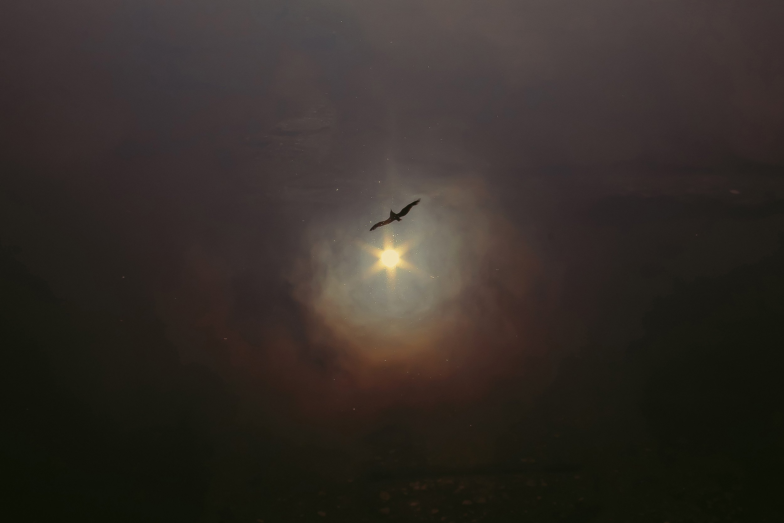 Hussein Haddad Photography Sanat Istanbul space and art