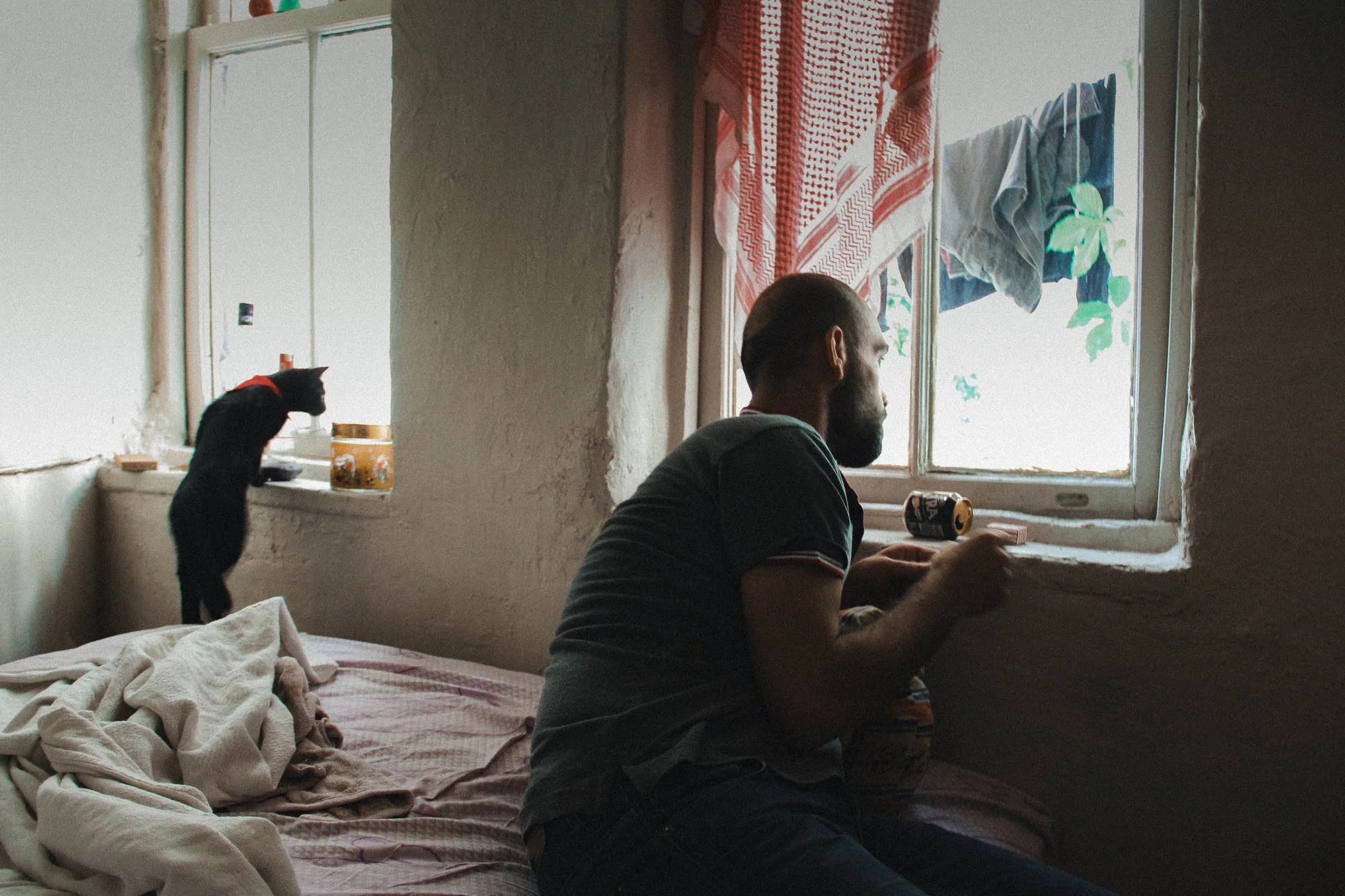 Hussein Haddad Photography Refugee Syria Cats