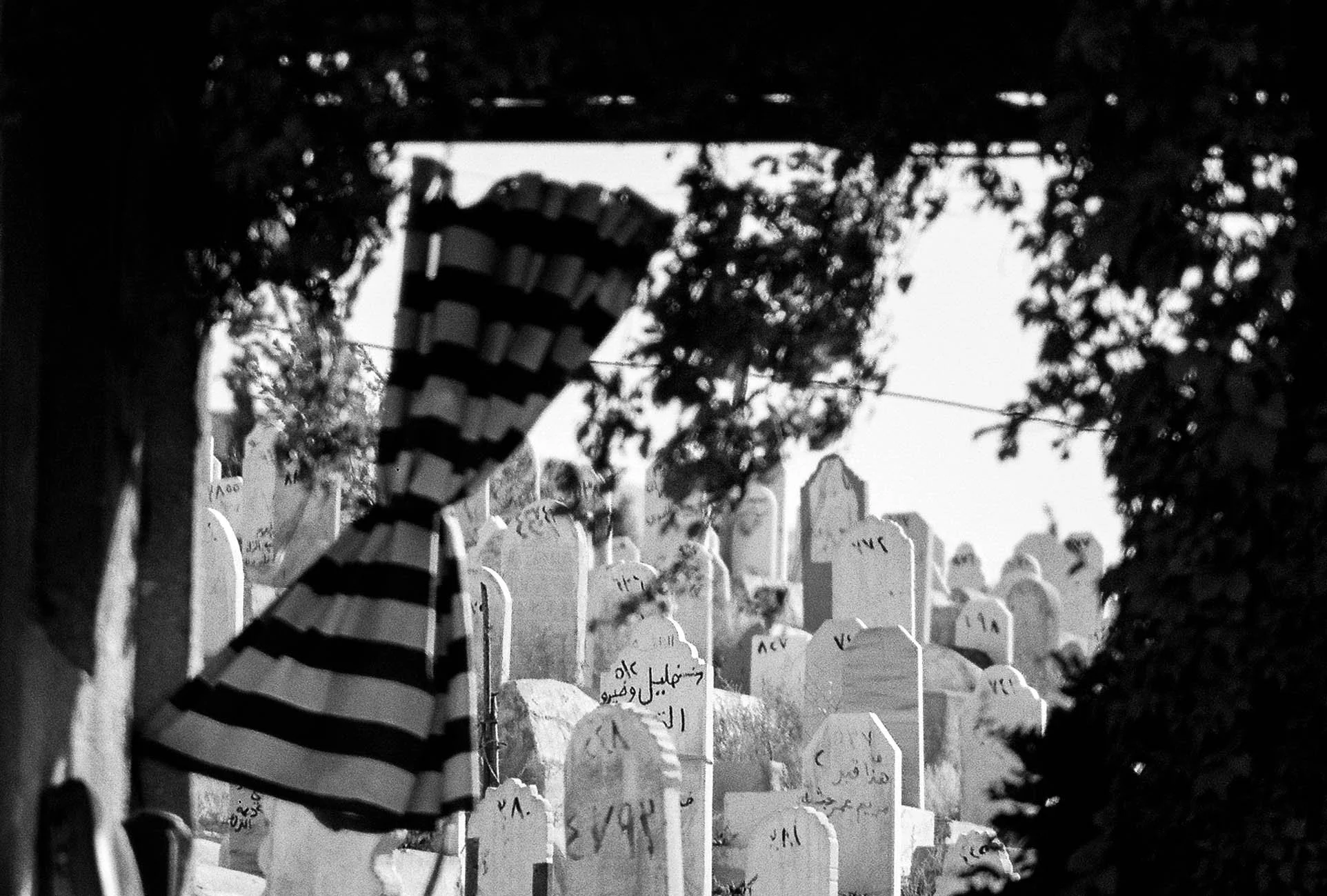 Black and white photo of a cemetery with numerous headstones, some with Arabic inscriptions, partially obscured by tree branches and leaves.