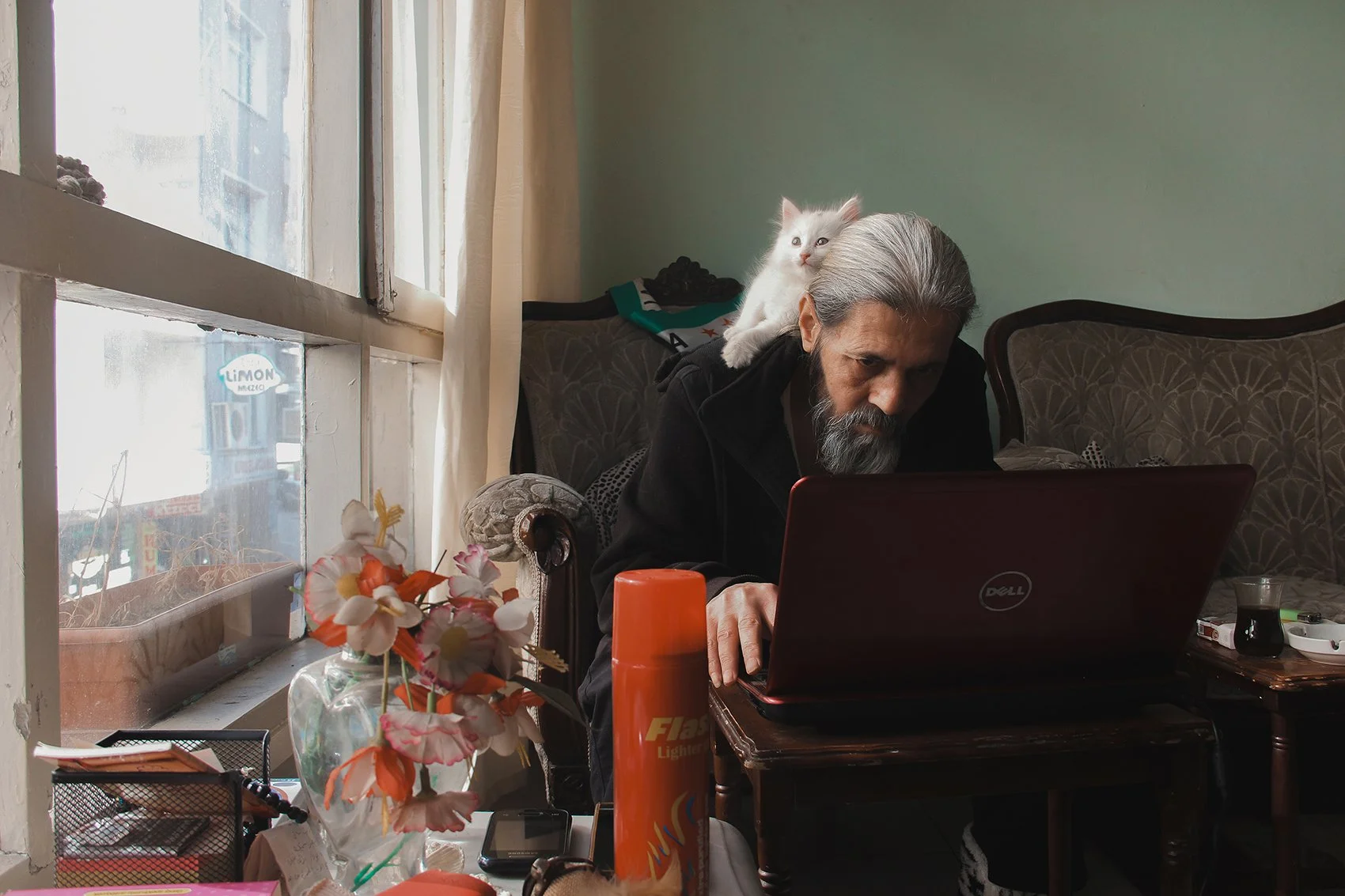 Hussein Haddad photography Syria-Refugee Cats