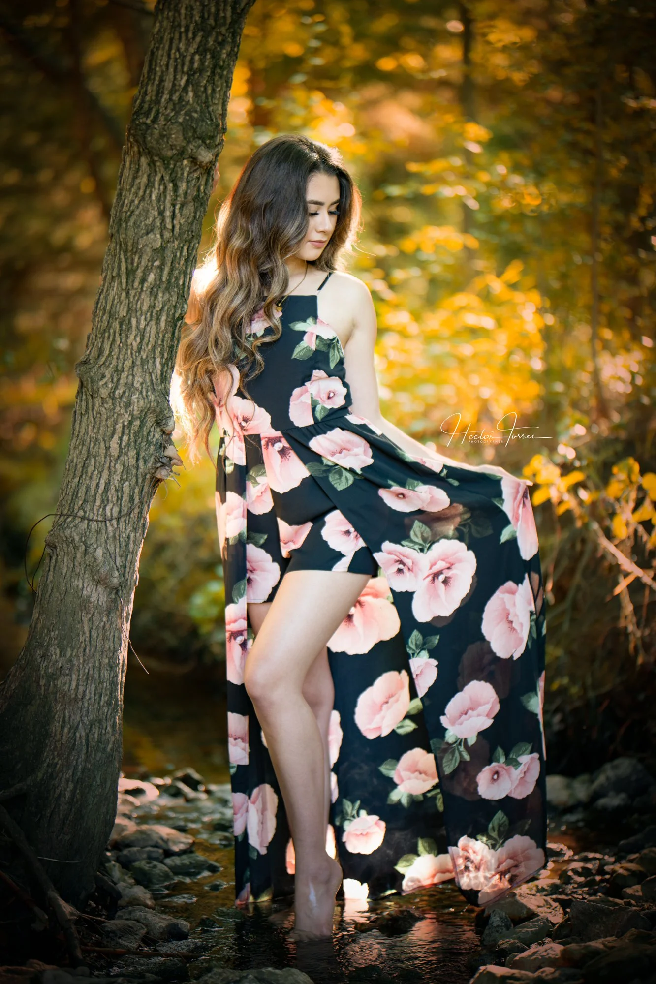 A young woman stands barefoot in a shallow creek, leaning against a tree as soft golden sunlight filters through autumn foliage. She wears a black floral dress with flowing fabric, creating a romantic, natural portrait with warm tones and shallow dep