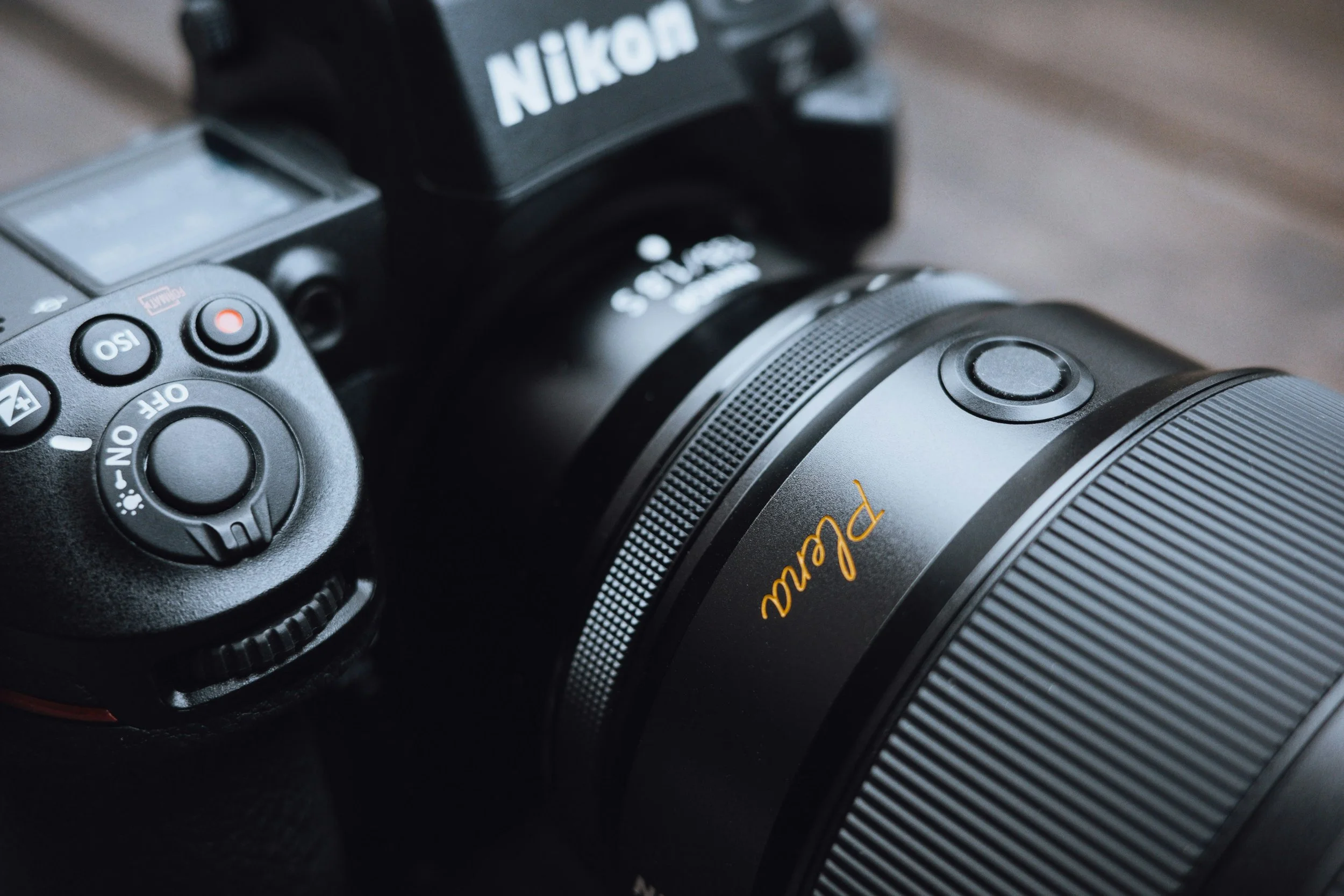 Professional Portraits That Make a Powerful First Impression