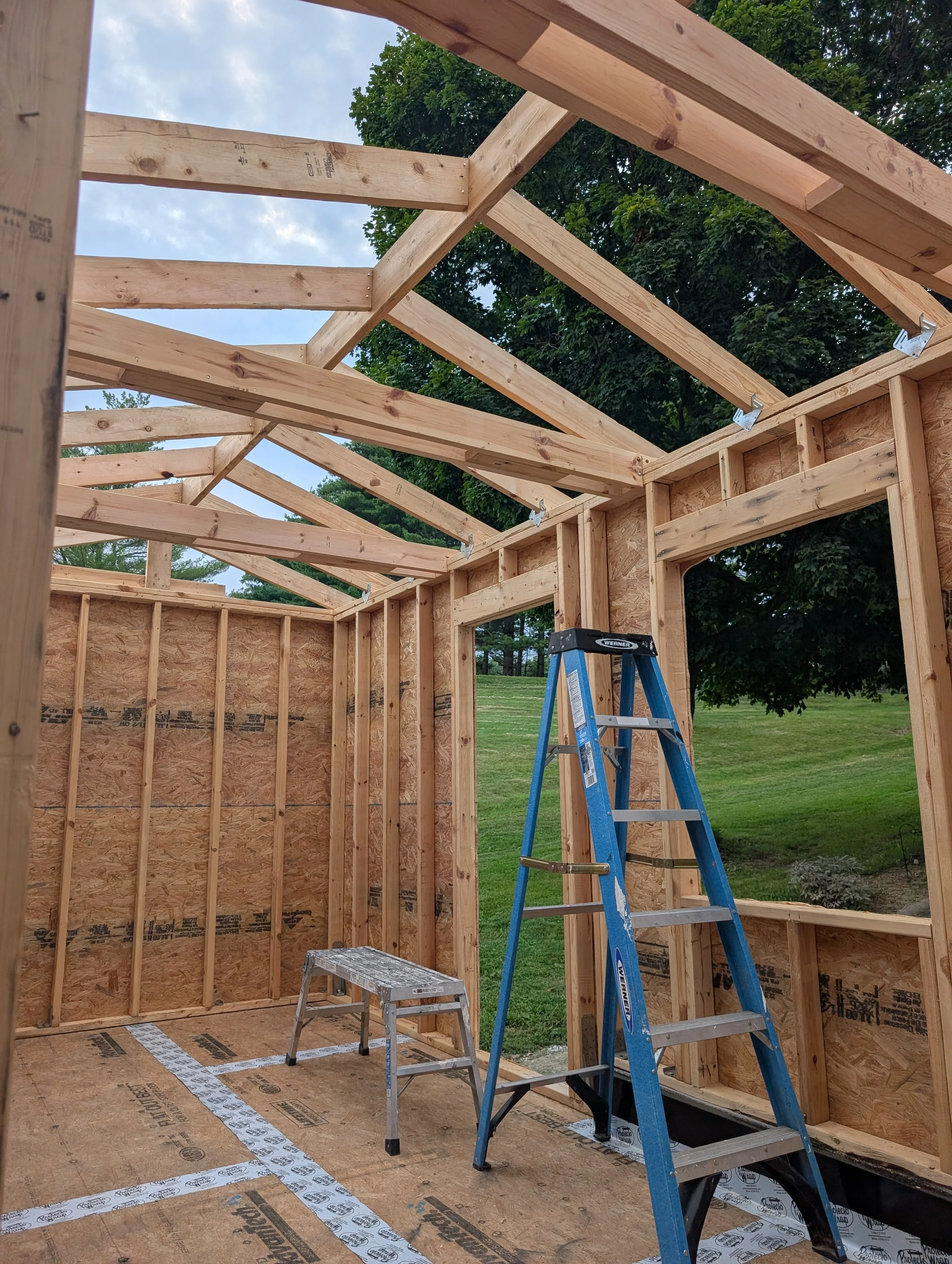 PXL_20260805_000356580.jpg