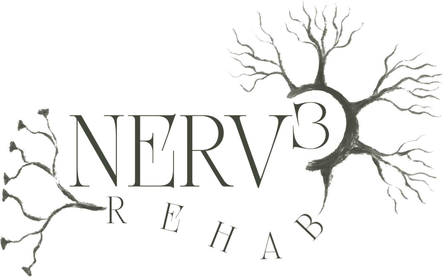 NERV3 REHAB